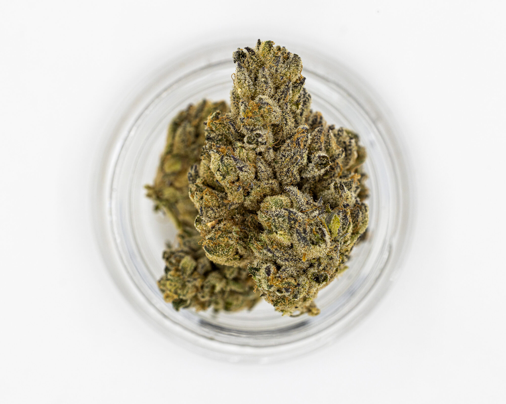 CBX PREMIUM FLOWER 3.5GM GLUETOPIA6 CBX-PREMIUM-FLOWER-3.5GM-GLUETOPIA6