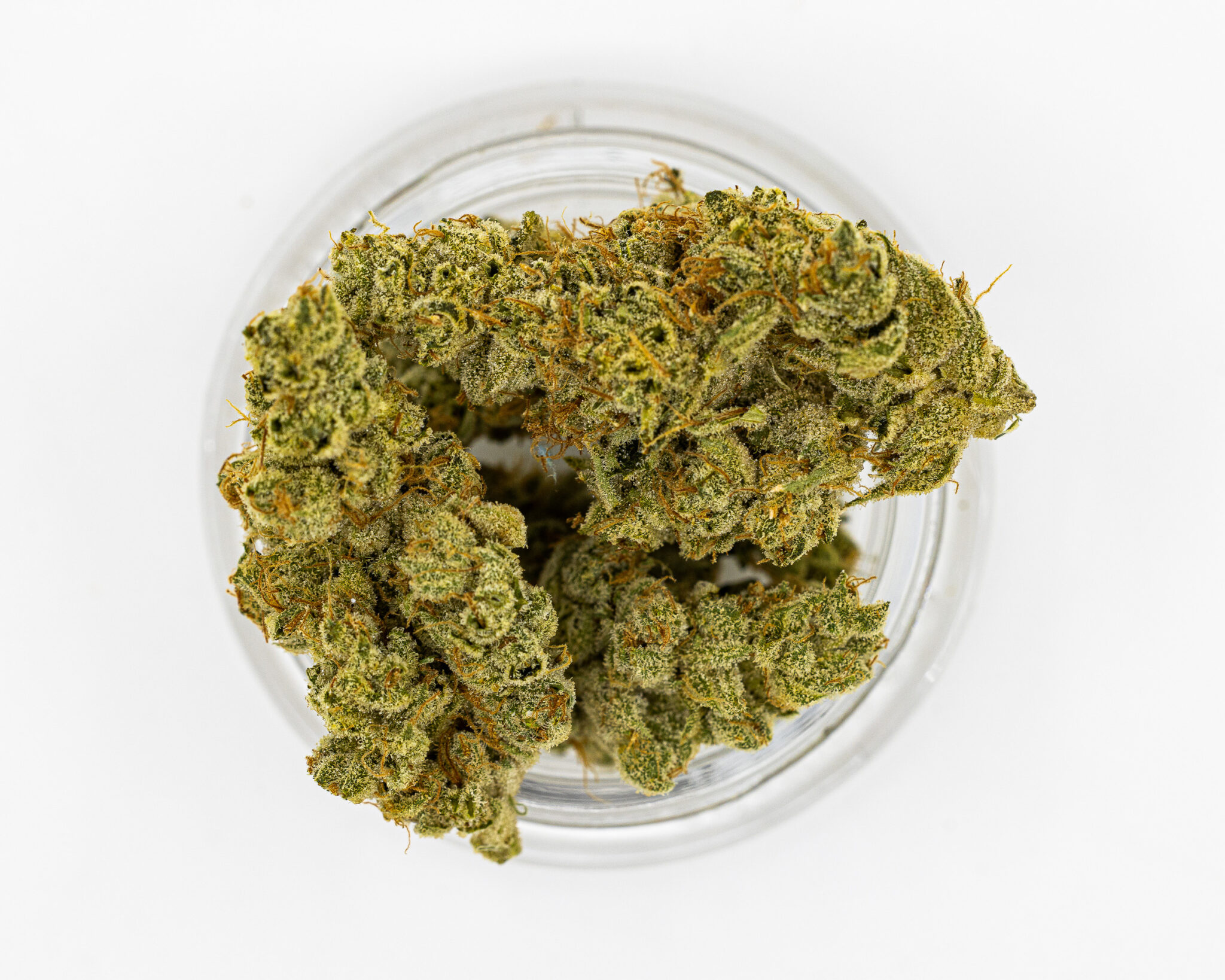 CBX PREMIUM FLOWER 3.5GM TROPICANA7 CBX-PREMIUM-FLOWER-3.5GM-TROPICANA7