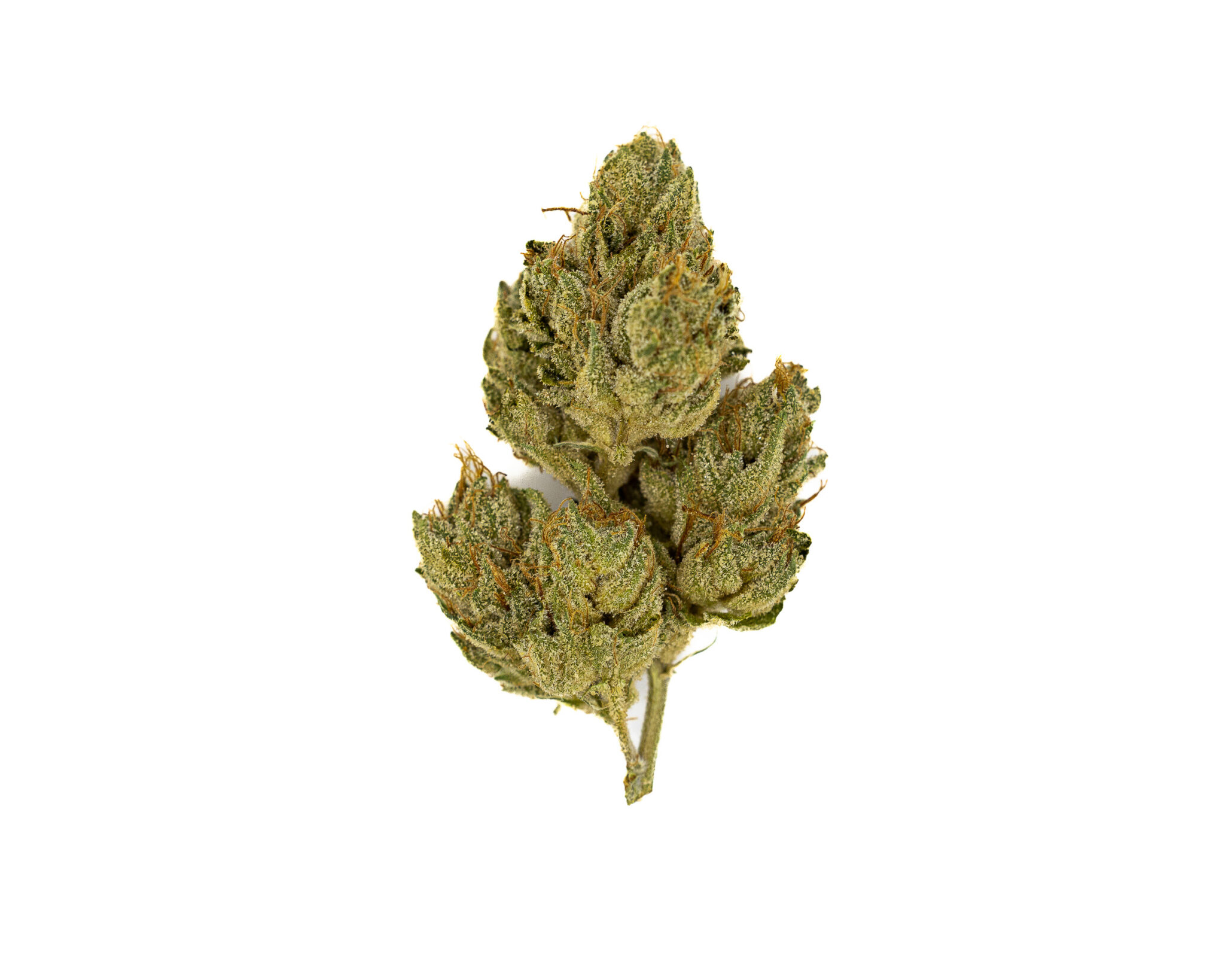 CBX PREMIUM FLOWER 3.5GM WHITE WALKER OG5 CBX-PREMIUM-FLOWER-3.5GM-WHITE-WALKER-OG5