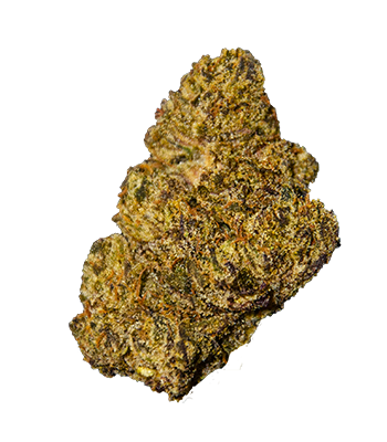 ZOCHI (ZOCHI*) - Gotham Medical and Rec Dispensary