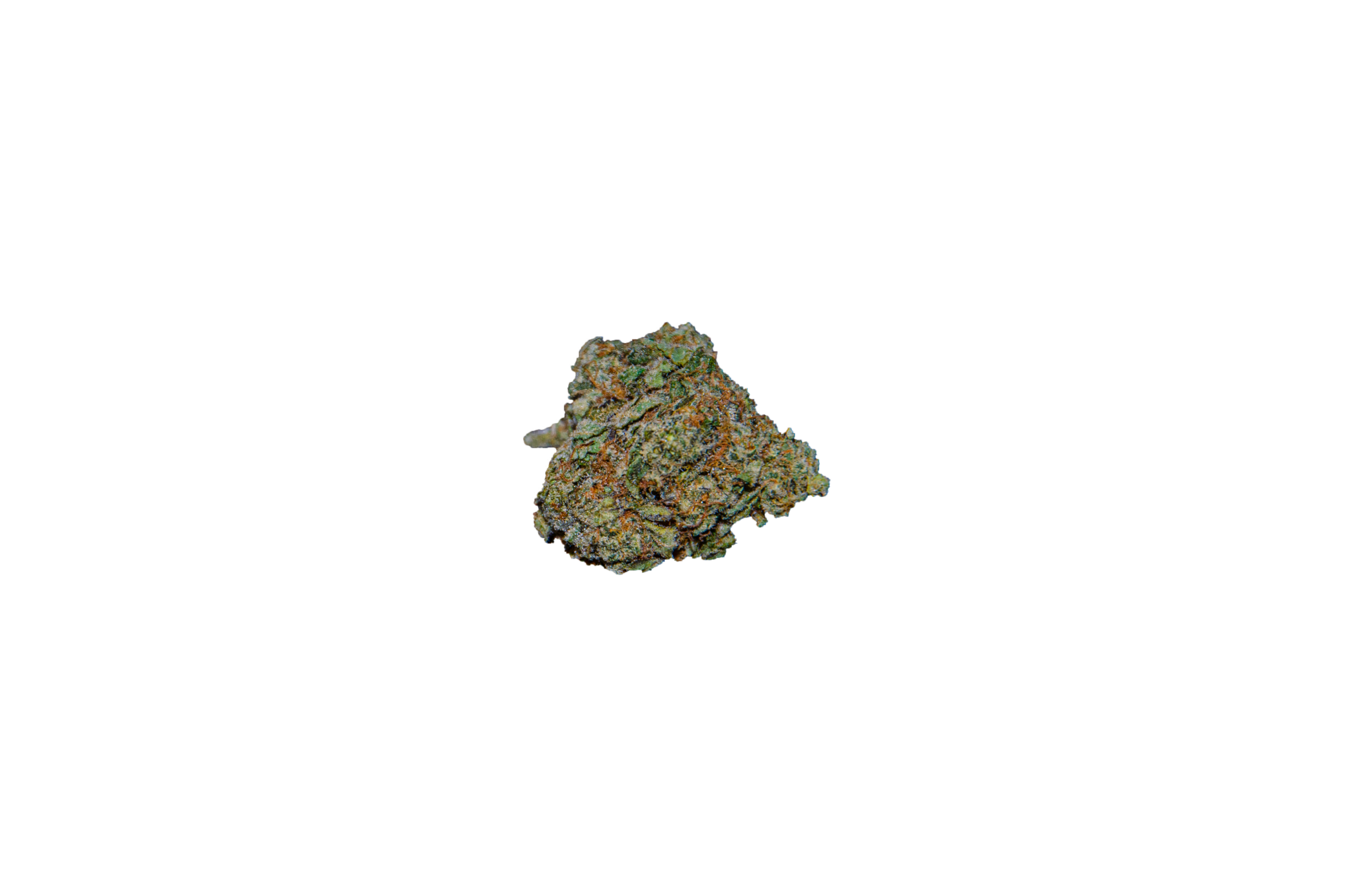 ALIEN-GELATO