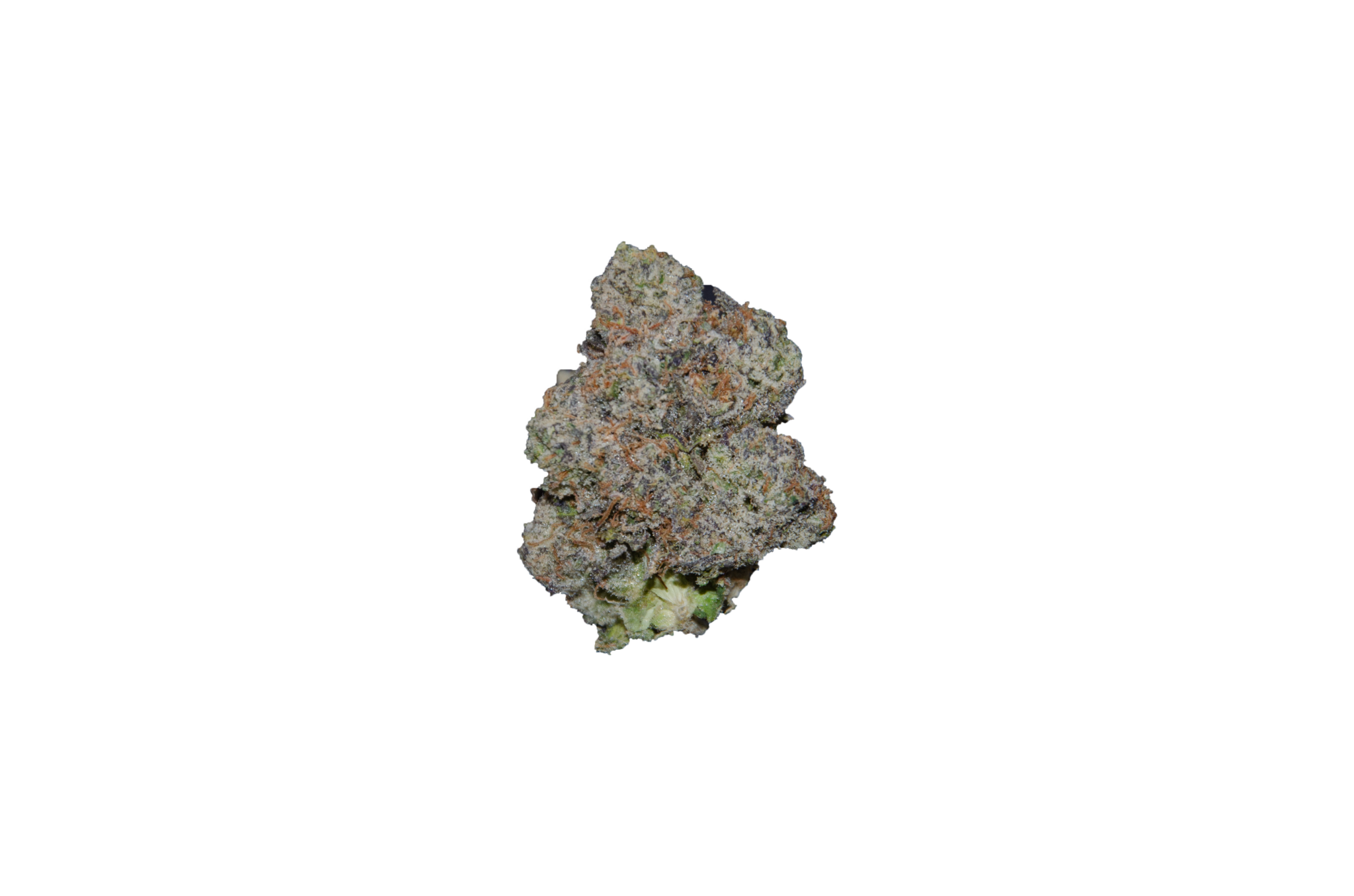 BLUE TOMYZ BY BACKPACK BOYZ (WITH BAGS) (SATIVA) Gotham Medical and