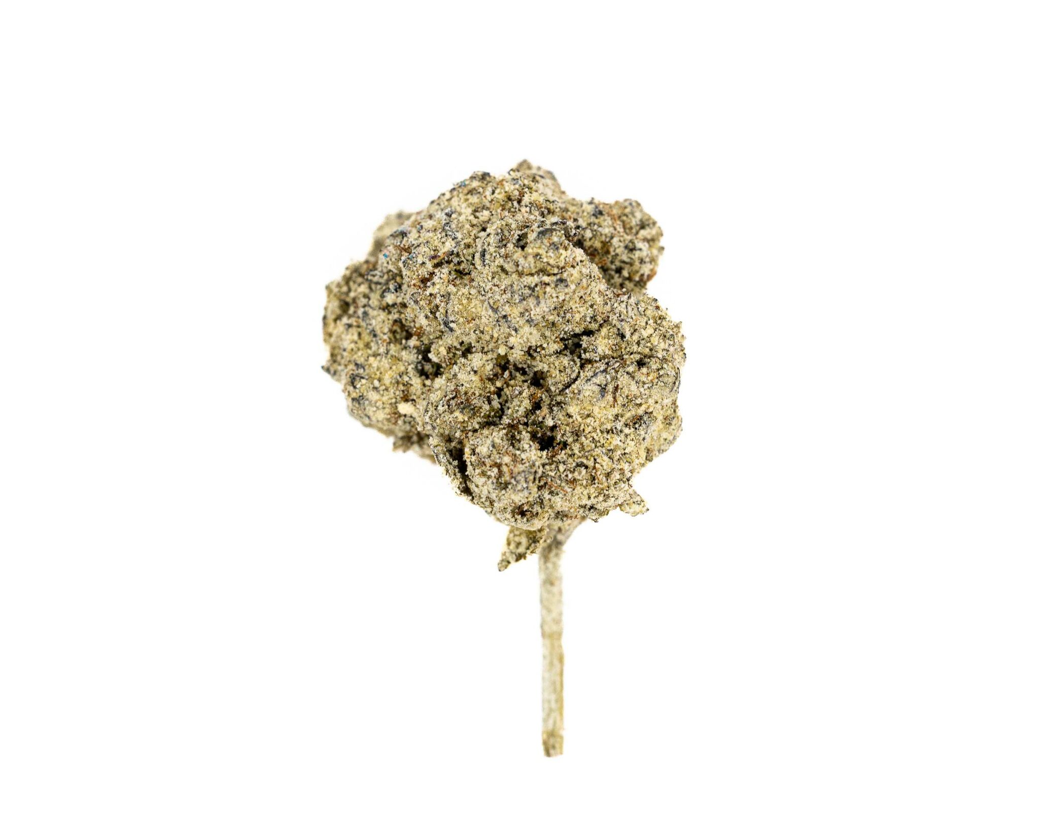 THE-SNOW-BRAND-DIAMOND-INFUSED-SELECT-FLOWERS-3.5-STARBURST-6