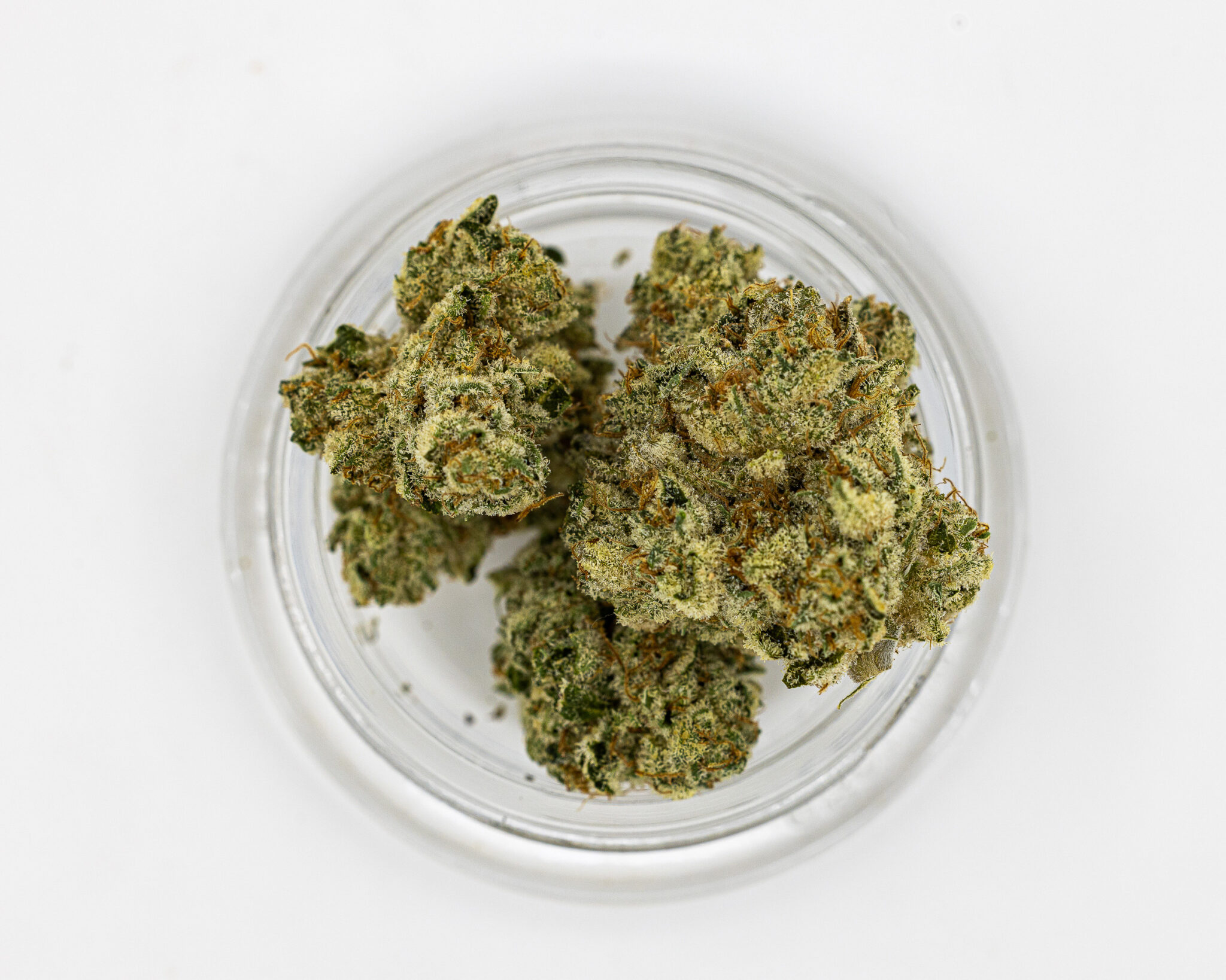 CBX PREMIUM FLOWER 3.5GM CEREAL MILK6 CBX-PREMIUM-FLOWER-3.5GM-CEREAL-MILK6