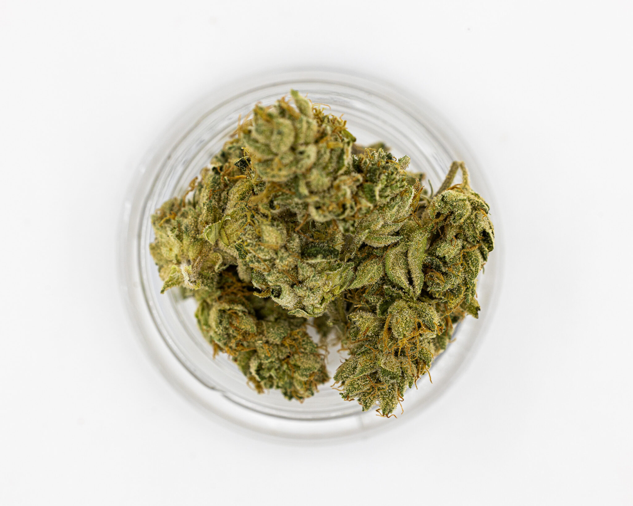 CBX PREMIUM FLOWER 3.5GM GRAND MASTER7 CBX-PREMIUM-FLOWER-3.5GM-GRAND-MASTER7