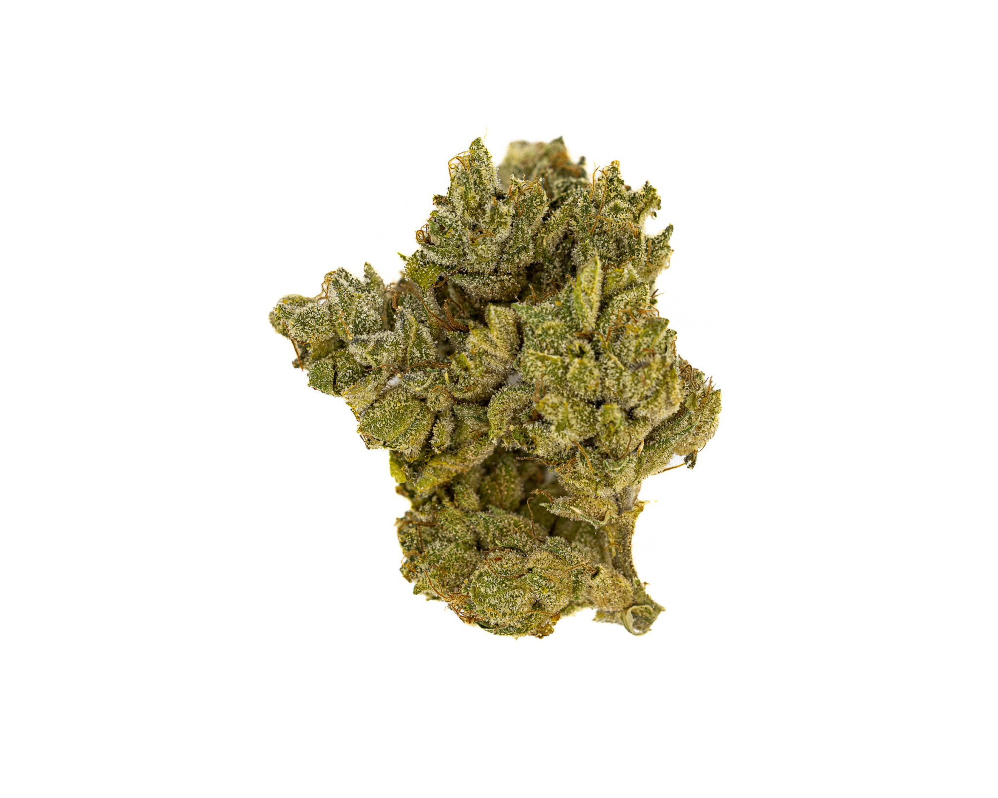 CBX PREMIUM FLOWER 3.5GM SUBLIME LIME5 CBX-PREMIUM-FLOWER-3.5GM-SUBLIME-LIME5