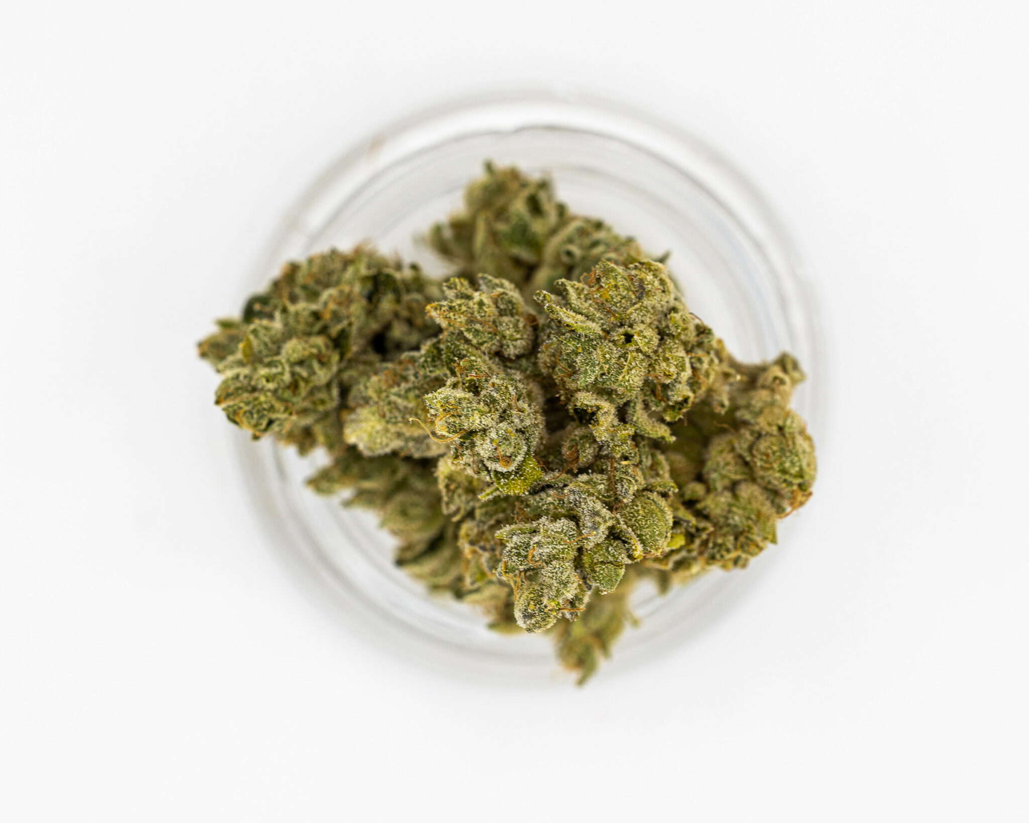 CBX PREMIUM FLOWER 3.5GM SUBLIME LIME6 CBX-PREMIUM-FLOWER-3.5GM-SUBLIME-LIME6