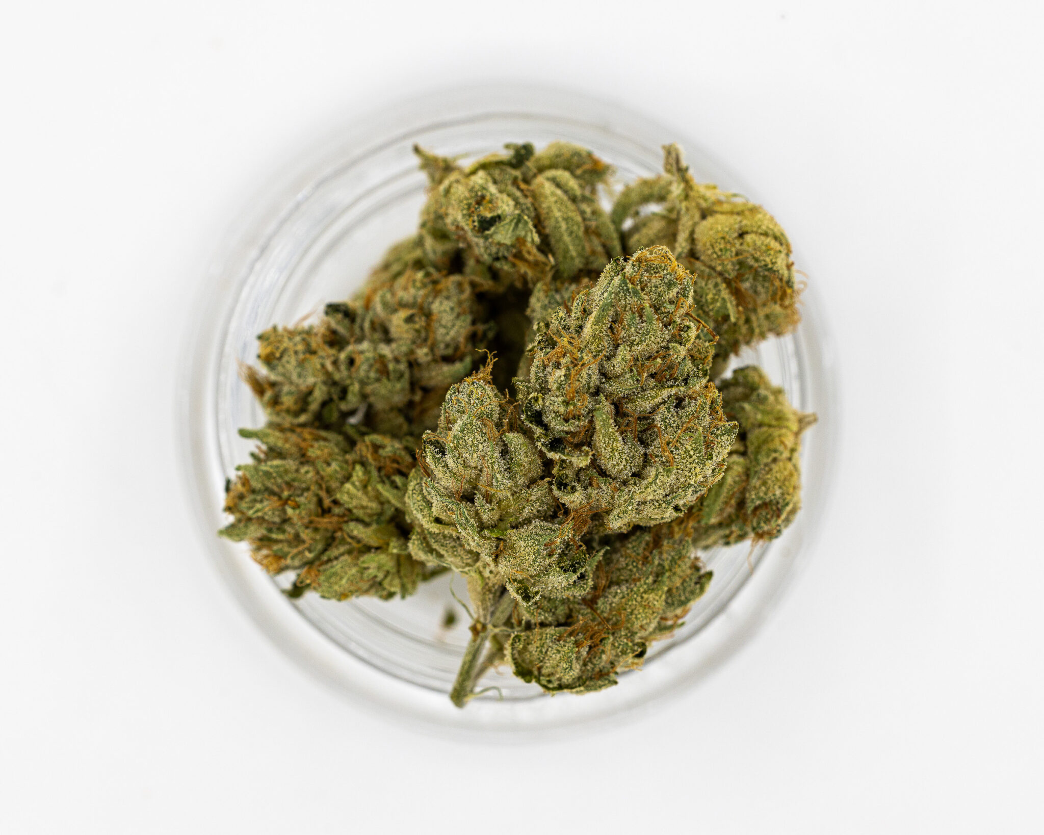 CBX PREMIUM FLOWER 3.5GM WHITE WALKER OG6 CBX-PREMIUM-FLOWER-3.5GM-WHITE-WALKER-OG6