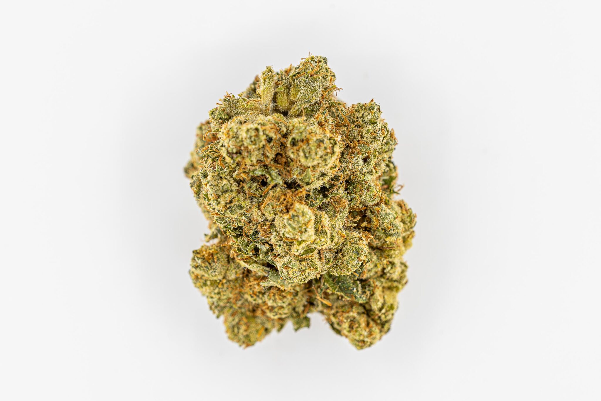 IN-HOUSE-FLOWER-3.5-AJ-RUNTZ2