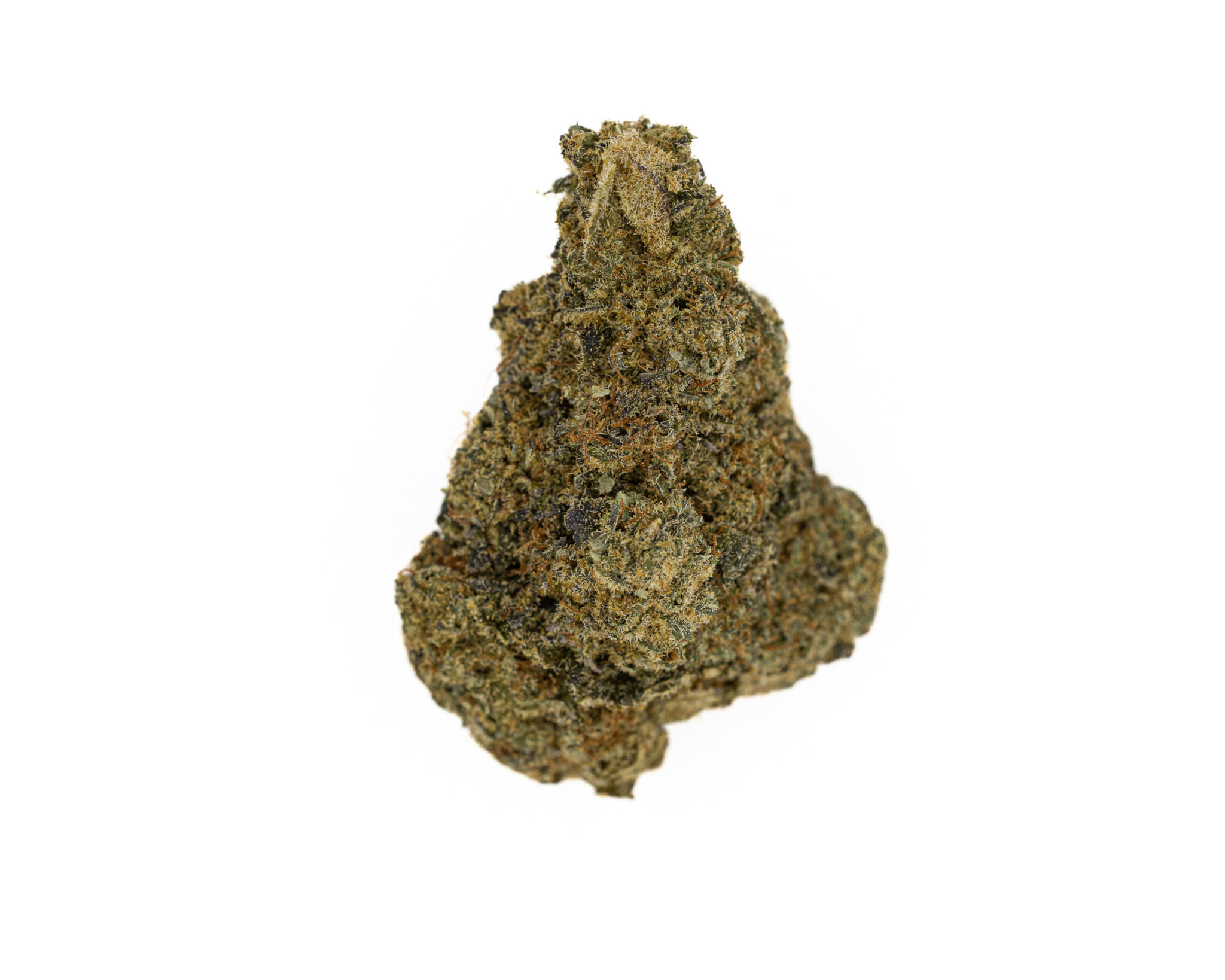 JACKFLASH-IN-HOUSE-FLOWER-3.5-LSOG-GOOSEBERRY-S H3G2A6280