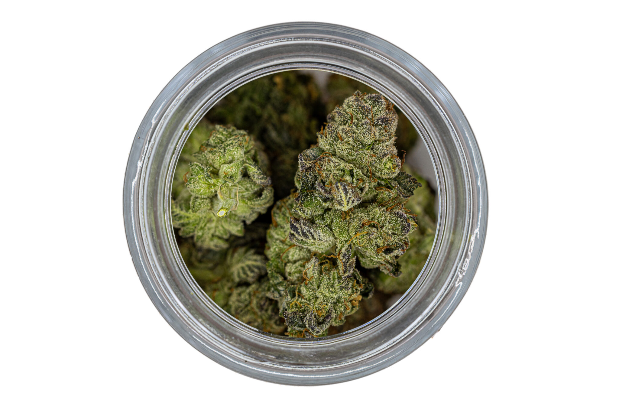 NEW-AMSTERDAM-CANNABIS-DESIGNER-FLOWER-BROOKLYN-GROWN-3.5GM-GMO4