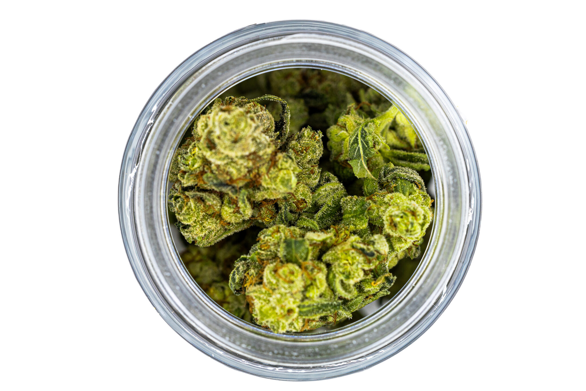 NEW-AMSTERDAM-CANNABIS-DESIGNER-FLOWER-BROOKLYN-GROWN-3.5GM-GORILLA-JACK4