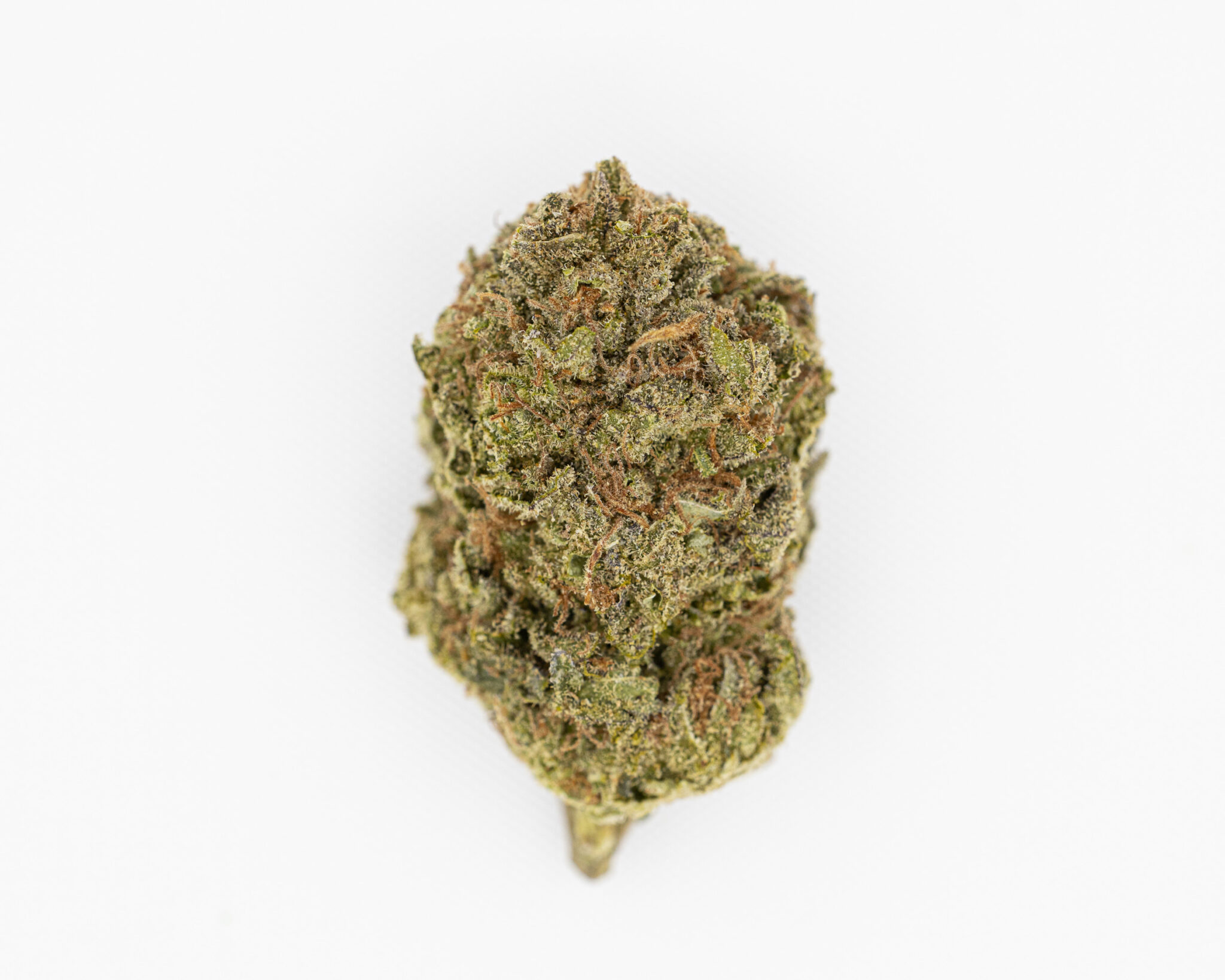 JACK-FLASH-IN-HOUSE-FLOWER-14G-FRUTTY-SOUR-TANGIE-SATIVA5