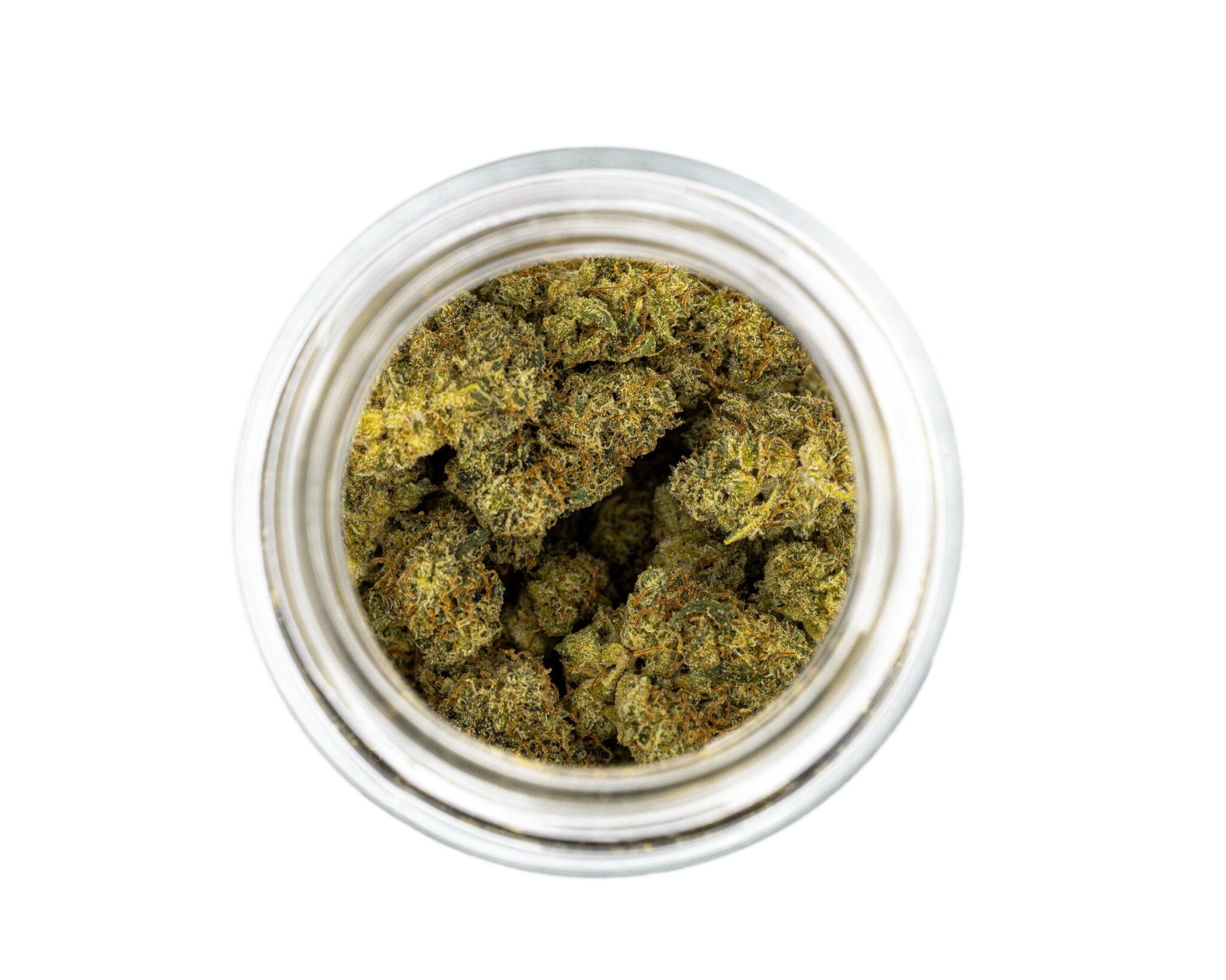 HYDROTIC-EXOTIC-FLOWER-14G-JACK-HERER3