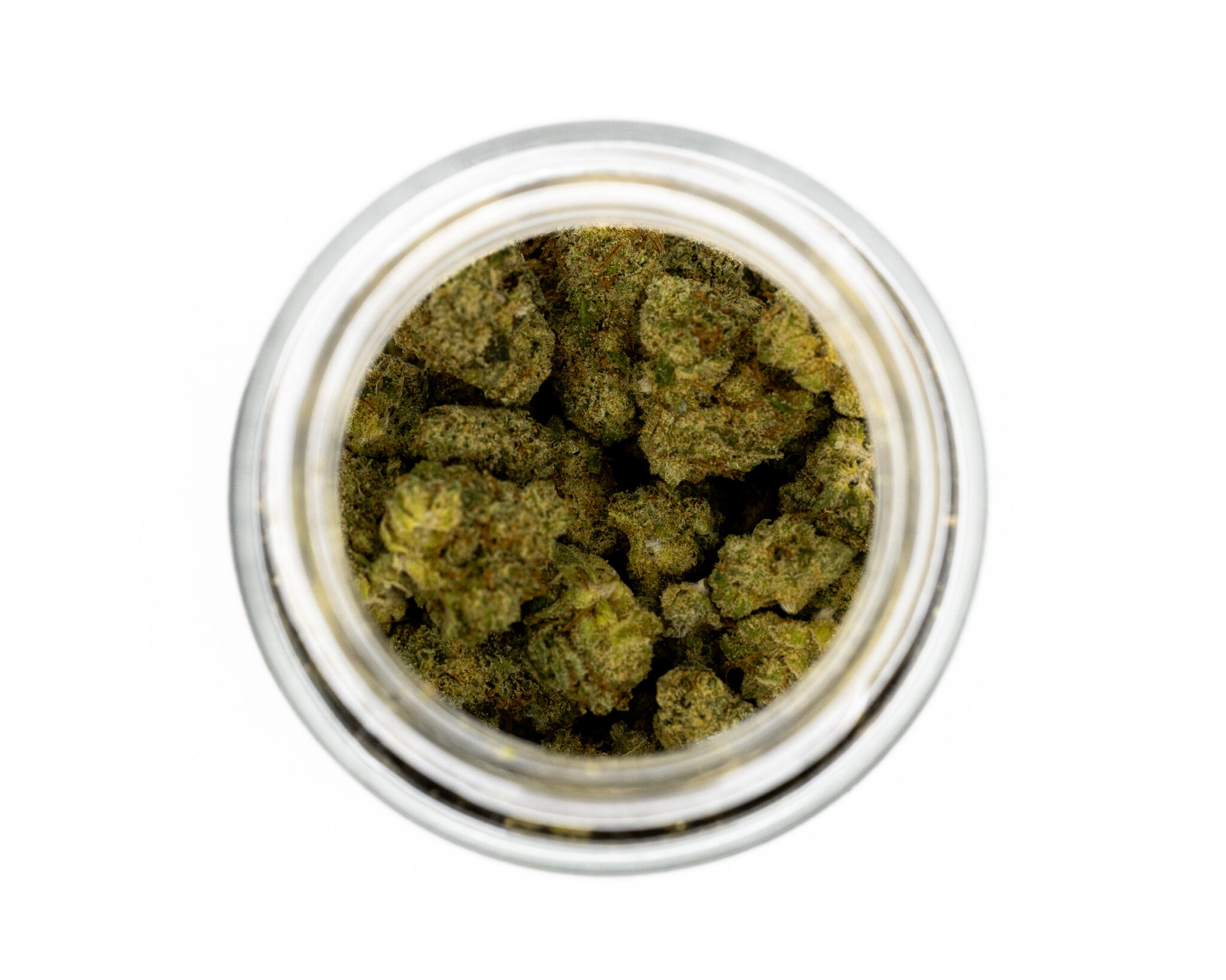 HYDROTIC-EXOTIC-FLOWER-14G-NORTHERN-LIGHT3