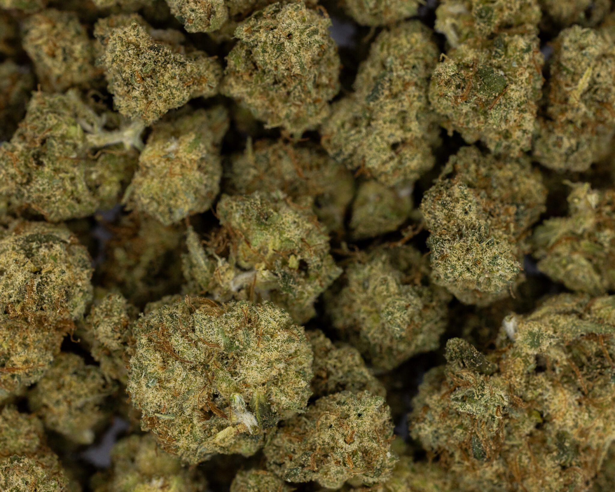 HYDROTIC-EXOTIC-FLOWER-14G-NORTHERN-LIGHT4