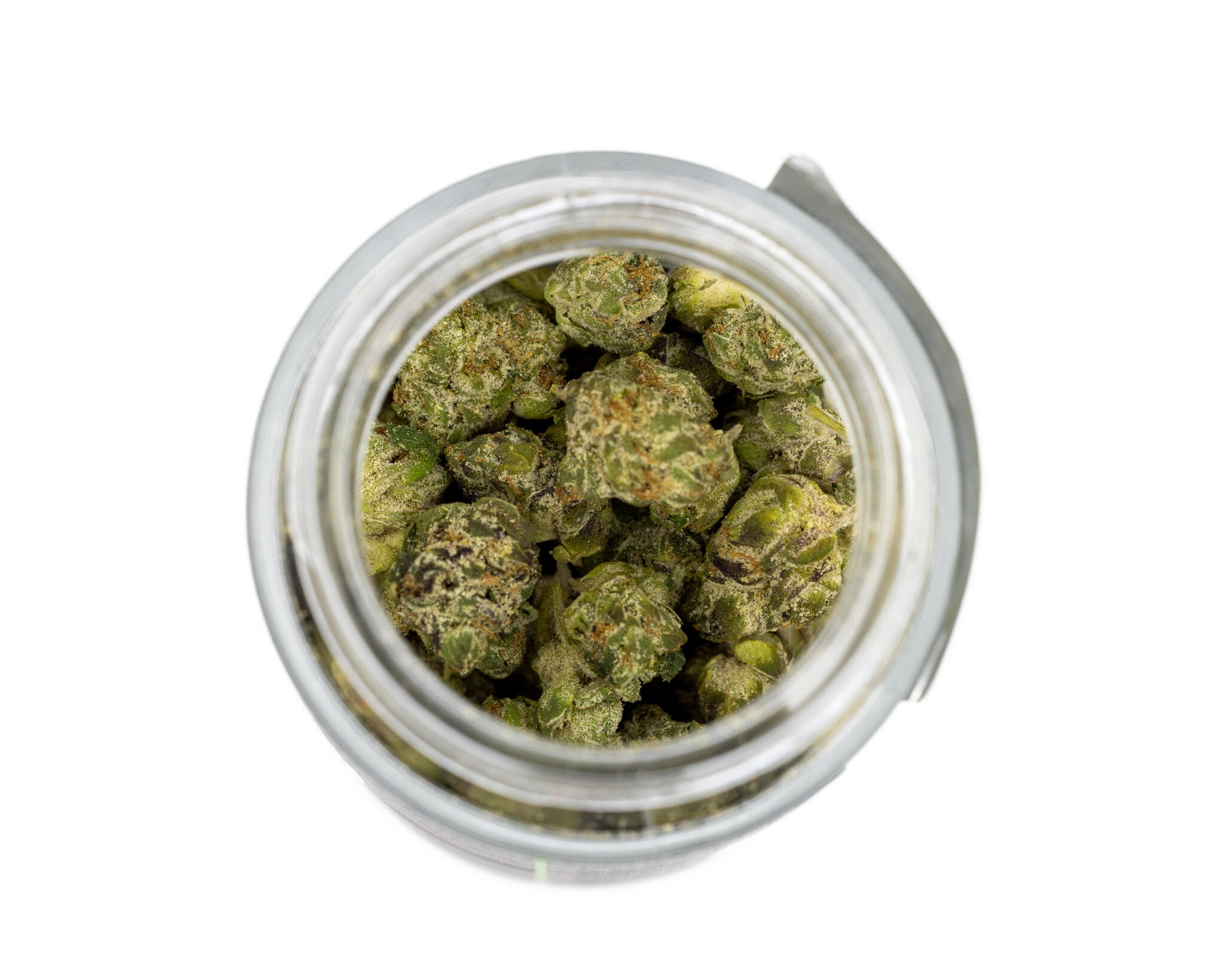 HYDROTIC-EXOTIC-FLOWER-14G-RAINBOW-RUTZ4