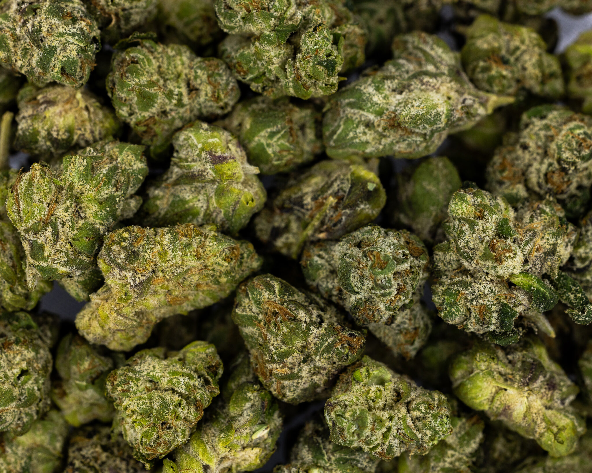 HYDROTIC-EXOTIC-FLOWER-14G-RAINBOW-RUTZ5