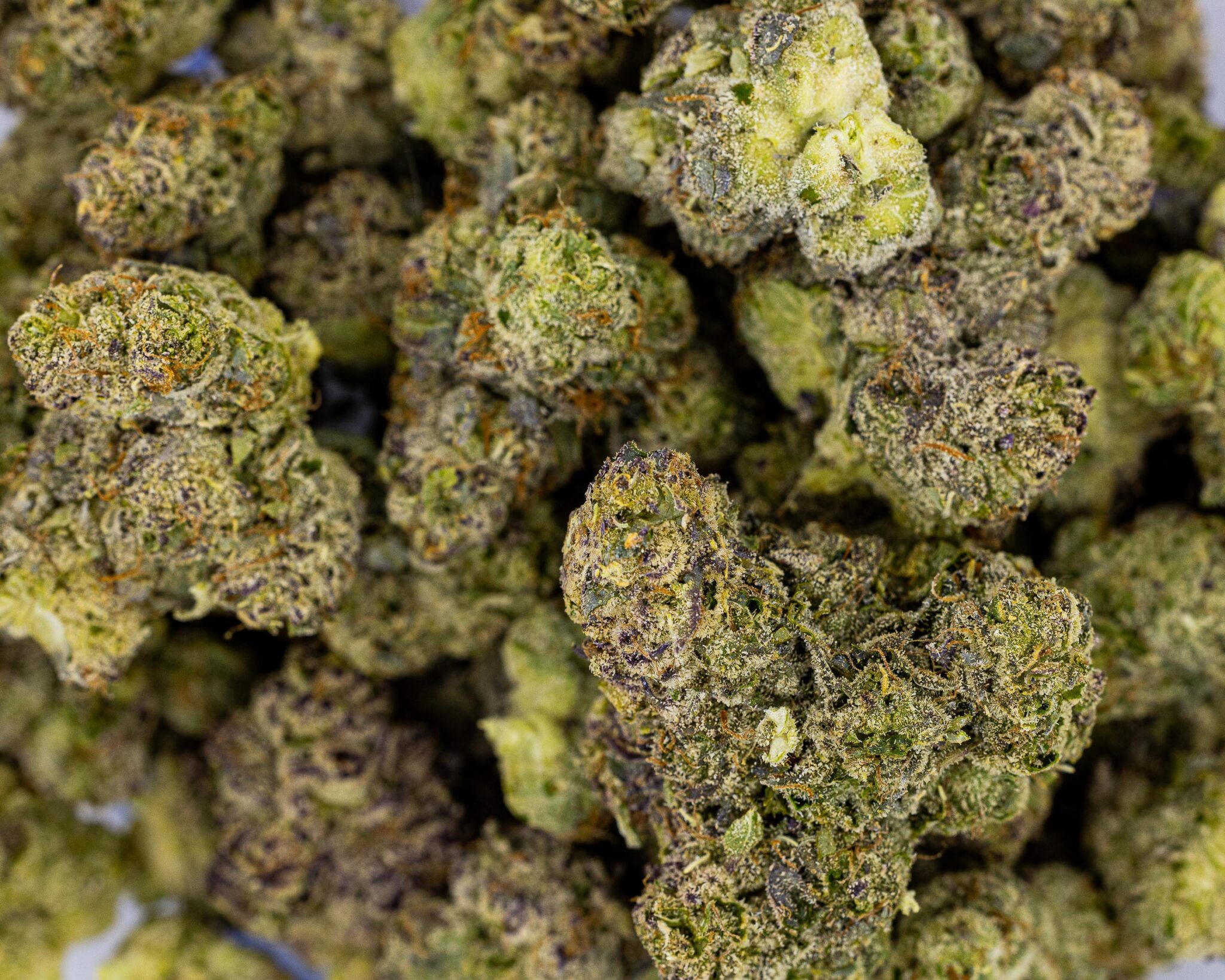 CURATED-CANNABIS-LIVE-CURED-CANNABIS-FLOWER-28.4G-1-OUNCE-BLACK-CHERRY-RUNTZ-5