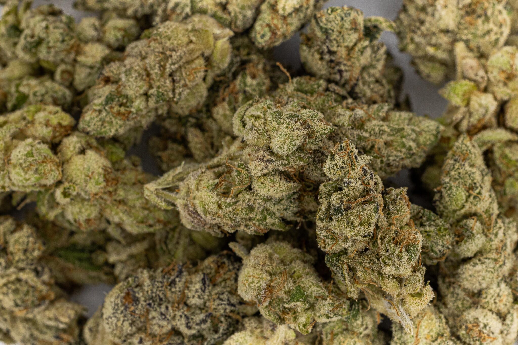 HYDROLIC-PURPLE-PUSH-POP-14G-1