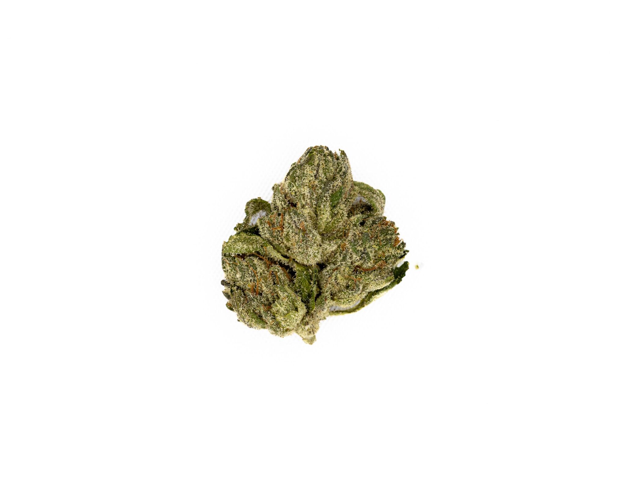 FLOS-CANNABIS-FLOWER-3.5-CAFFEINE-6