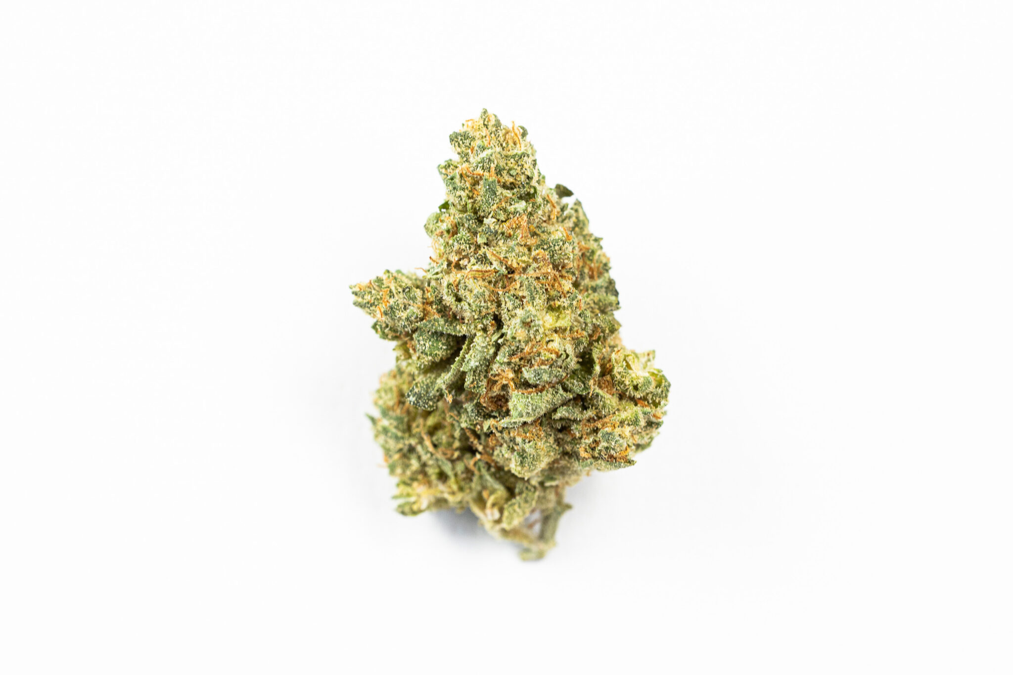 JACKFLASH-IN-HOUSE-FLOWER-3.5-FLORIDA-HAZE-S2