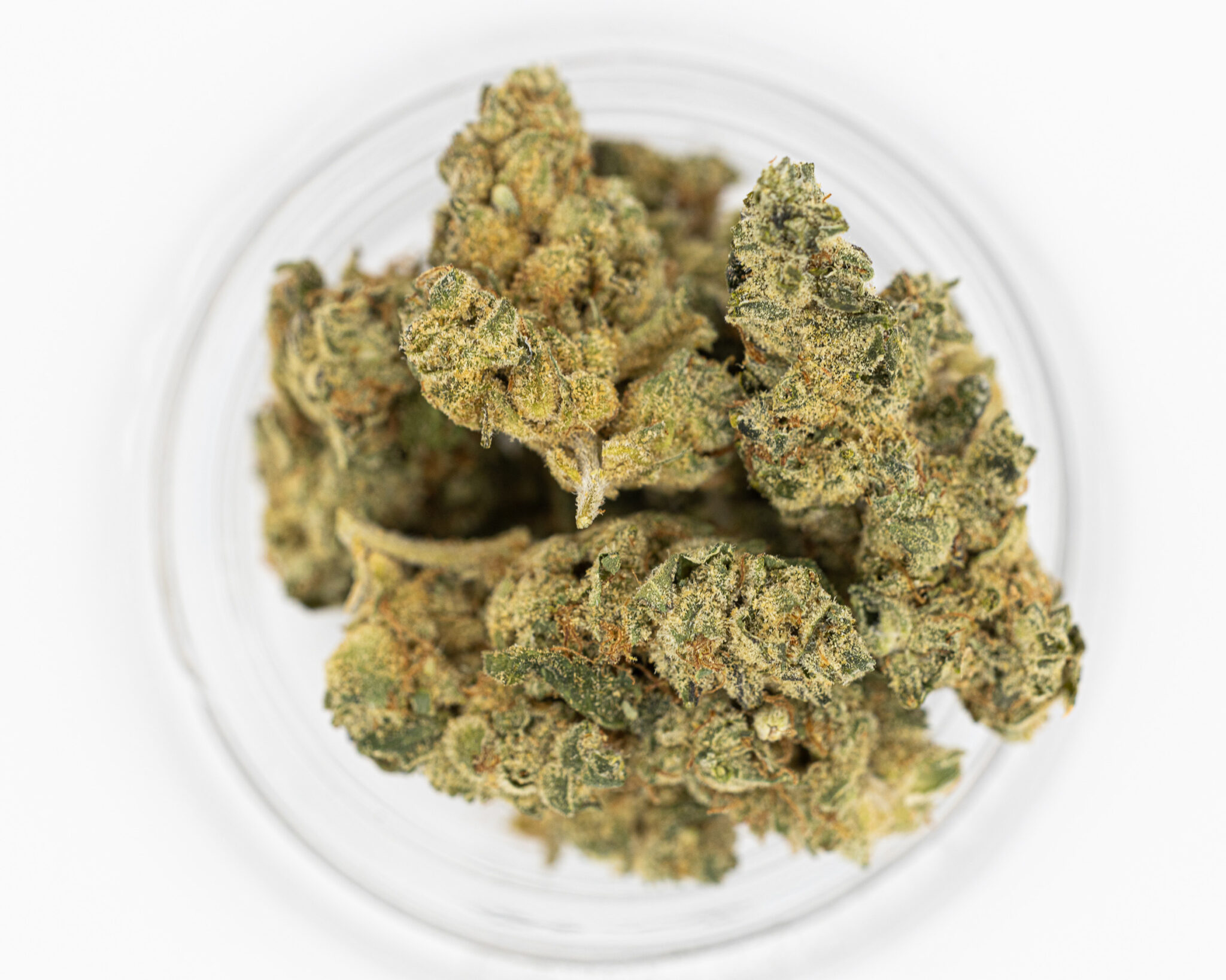 JACKFLASH-IN-HOUSE-FLOWER-3.5-GARLIC-COCKTAIL2