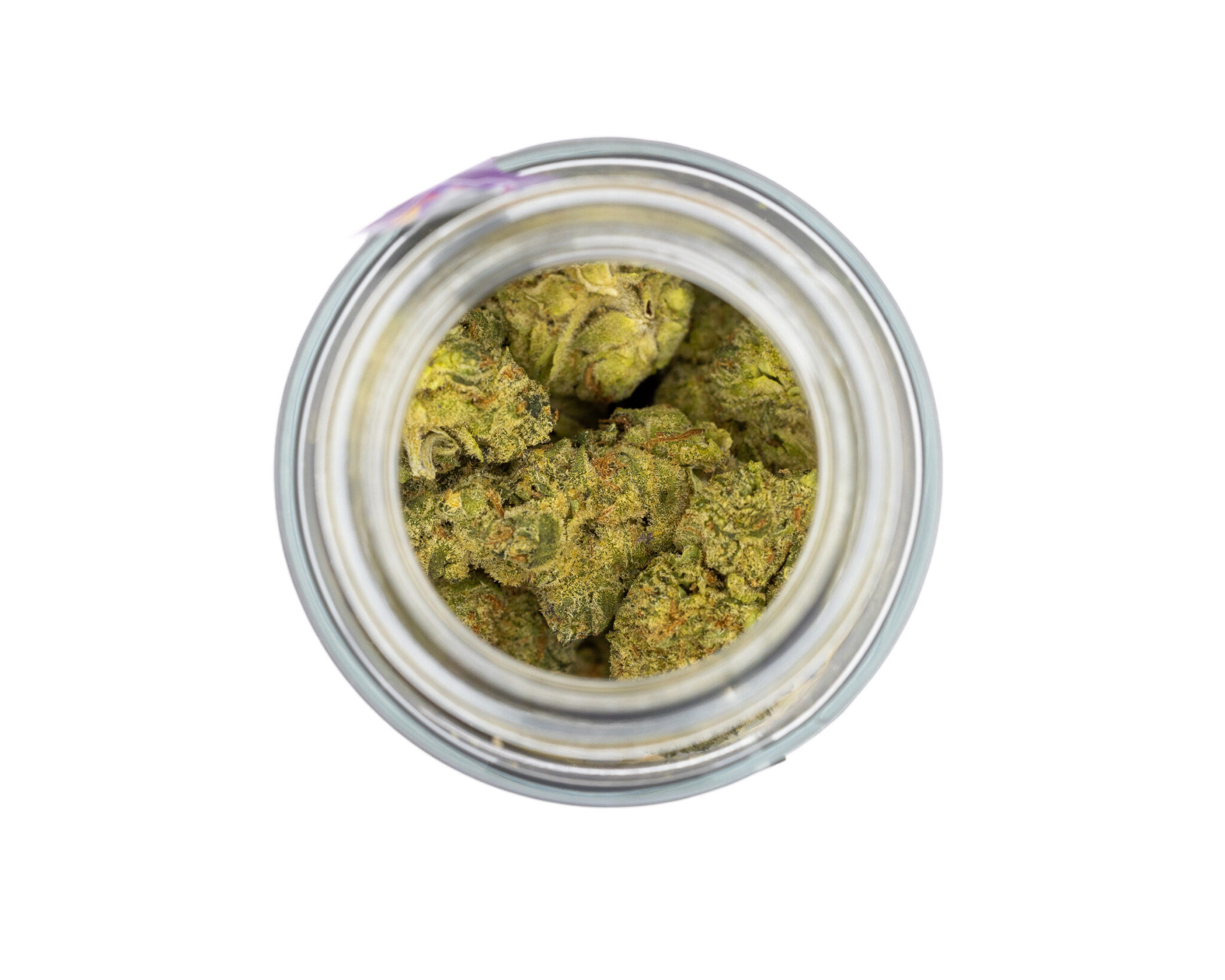 SLUGGER-HIT-PREMIUM-CANNABIS-FLOWER-5G-EUPHORIA5