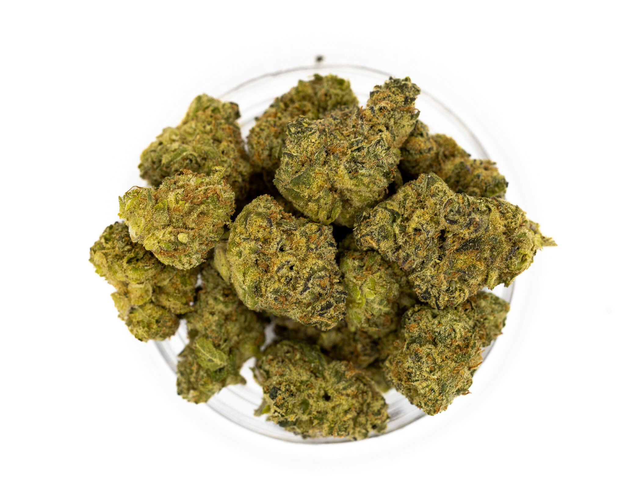 SLUGGER-HIT-PREMIUM-CANNABIS-FLOWER-5G-EUPHORIA6