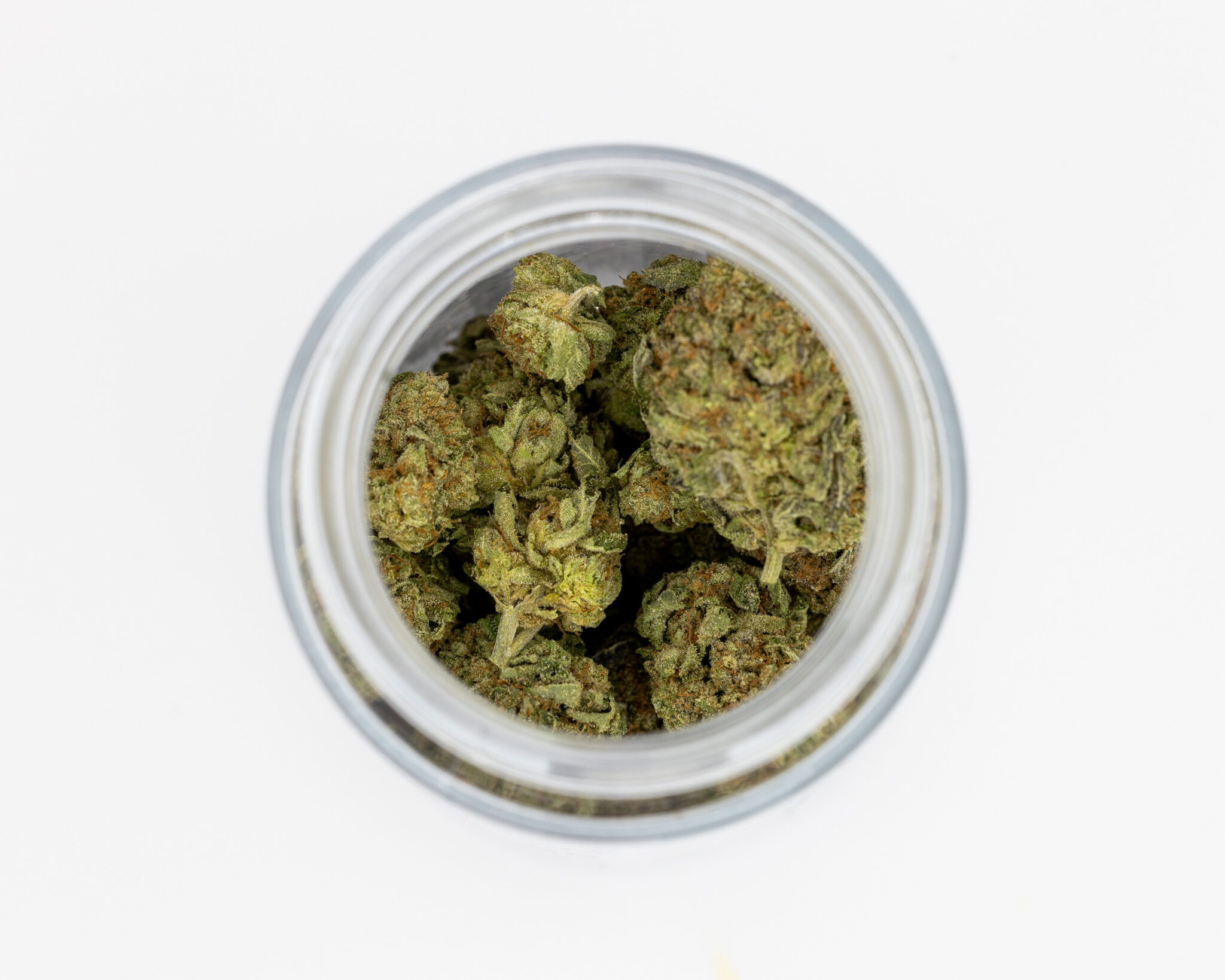 JACK-FLASH-IN-HOUSE-FLOWER-14G-BLACK-CHERRY-GELATO5