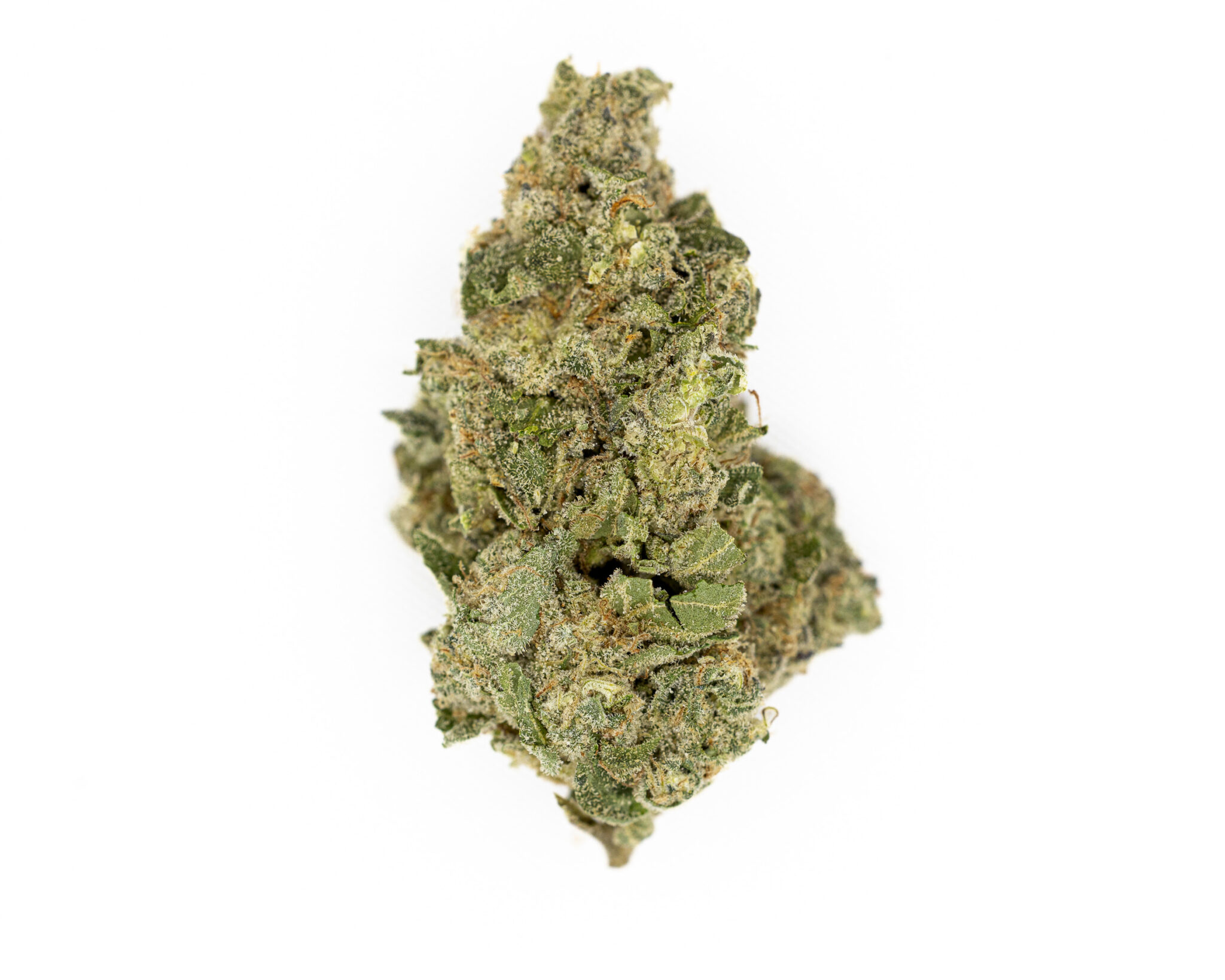 LOWELL-BIG-BUDS-14G3