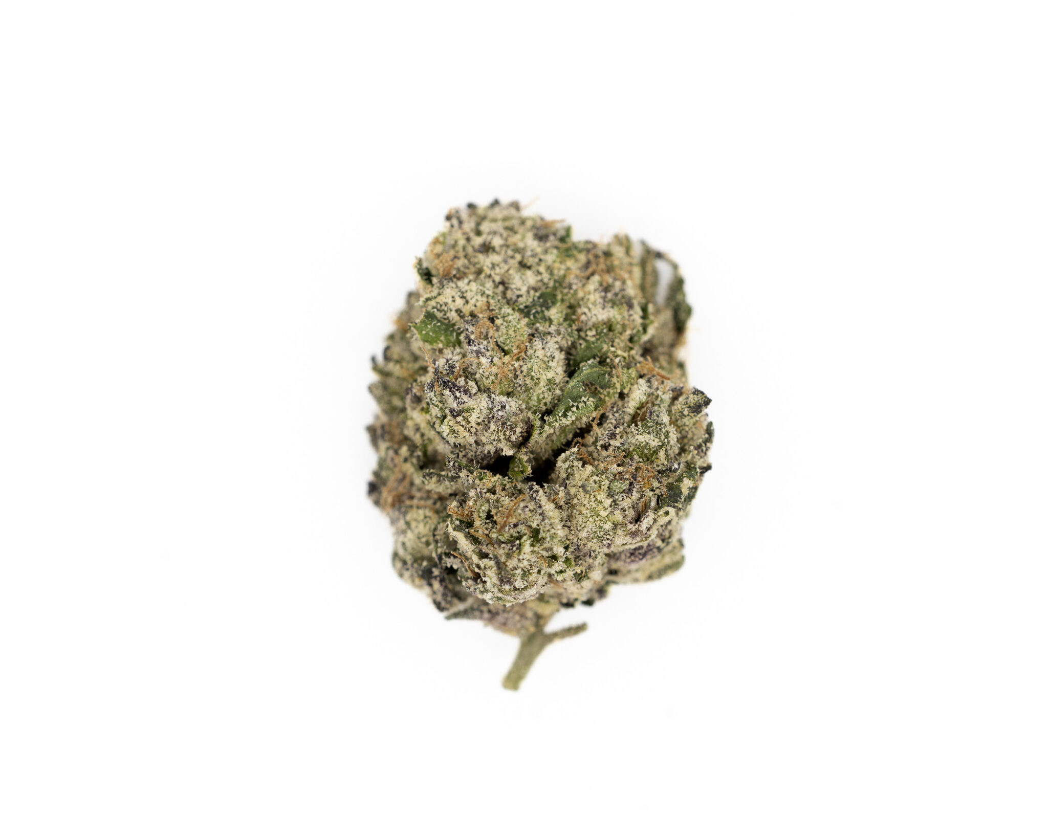 FOREIGNZ-PREMIUM-FLOWER-3.5-CANDY-CULLINAN4