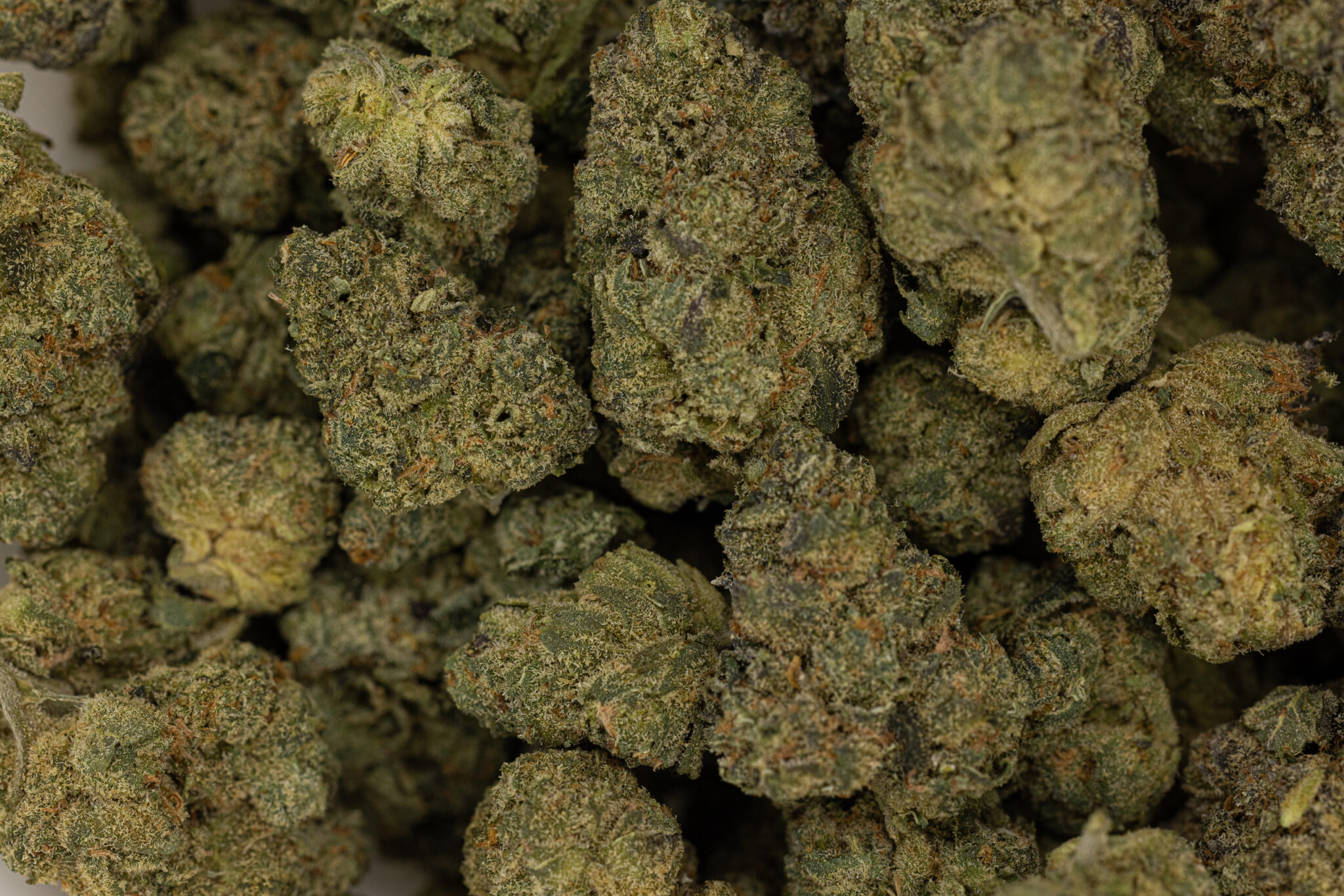 JACKFLASH-IN-HOUSE-FLOWER-28G-CHERRY-DOUGH3G2A6265