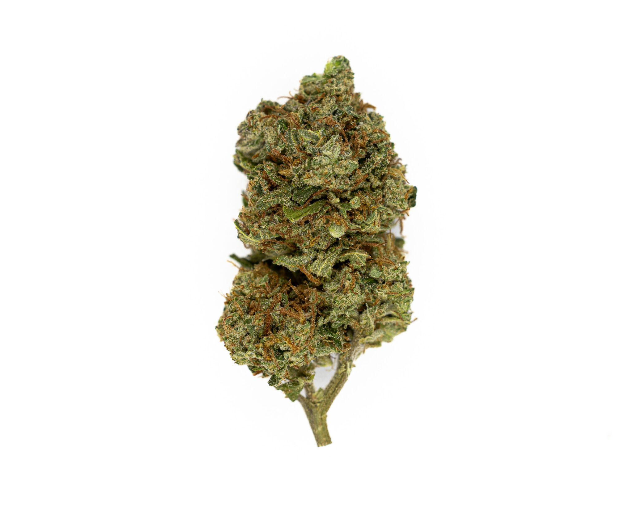 JACK-FLASH-IN-HOUSE-FLOWER-28G-CINDY-99X-2