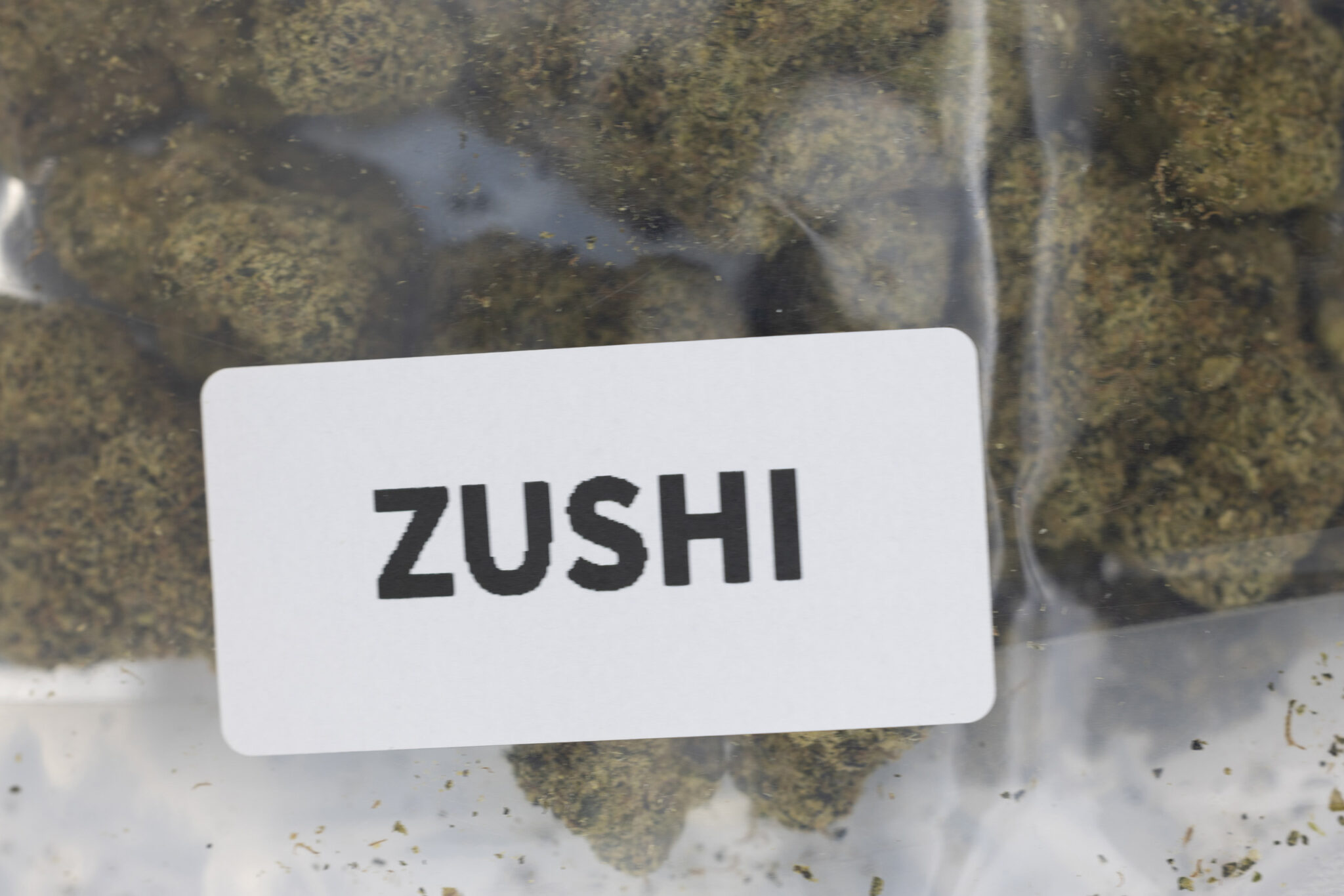 JACK FLASH IN HOUSE FLOWER 28G ZUSHIX-3 JACK-FLASH-IN-HOUSE-FLOWER-28G-ZUSHIX-3