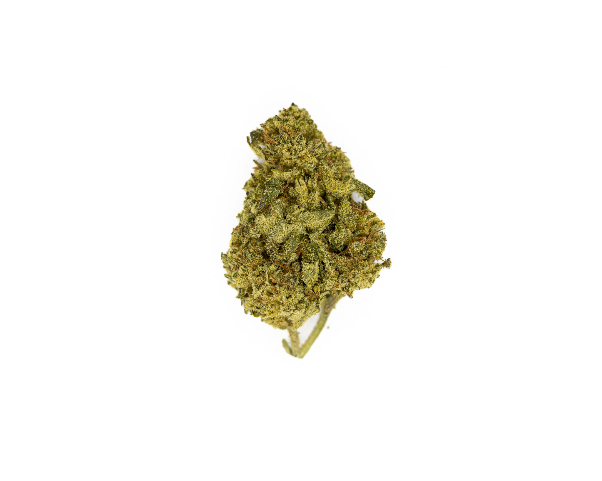 JACK-FLASH-IN-HOUSE-FLOWER-3.5-AFRICAN-HAZEX-10