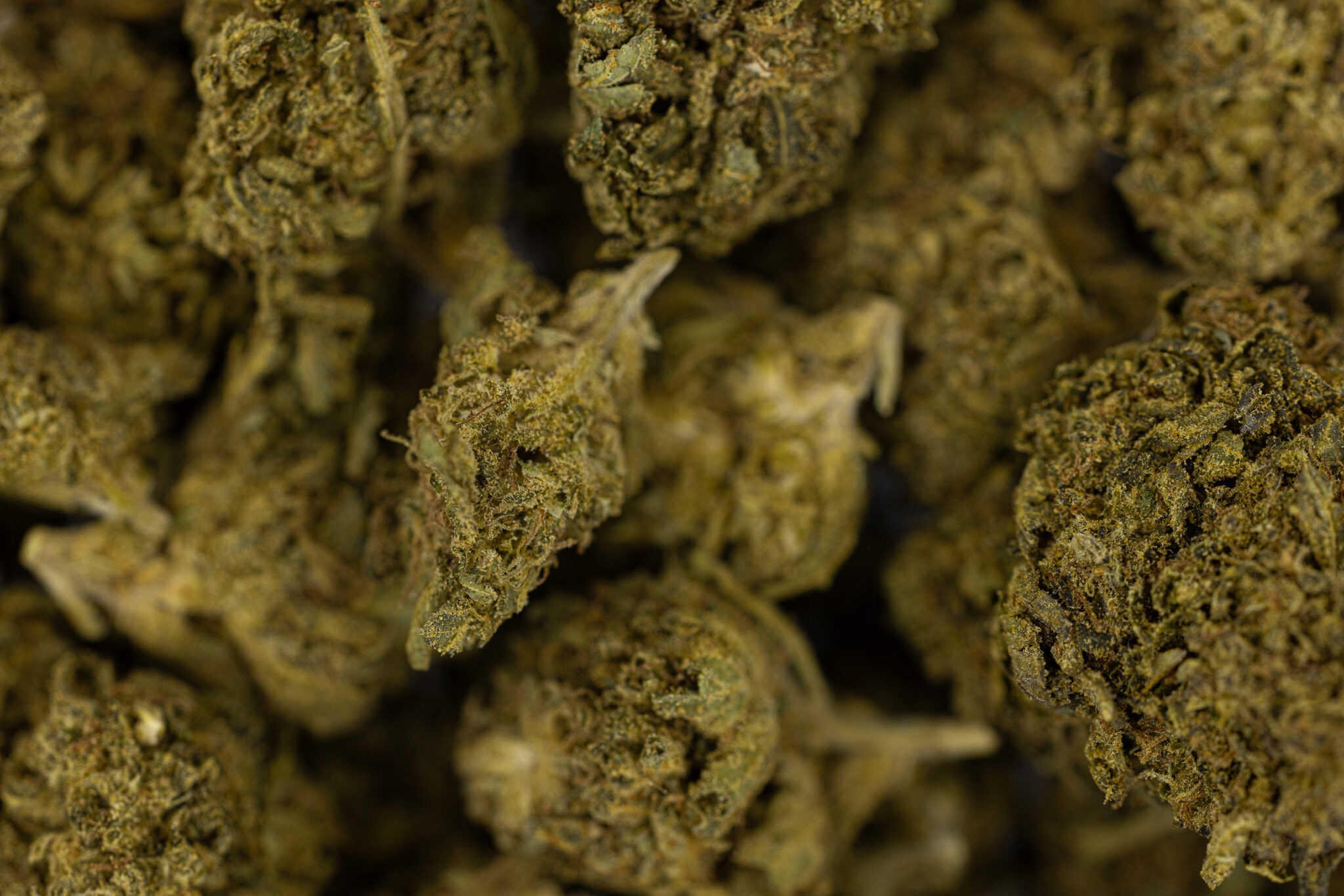 JACK-FLASH-IN-HOUSE-FLOWER-28G-JEALOUSY-X-KUSH-MINTZJACK-FLASH-IN-HOUSE-FLOWER-28G-JEALOUSY-X-X-2