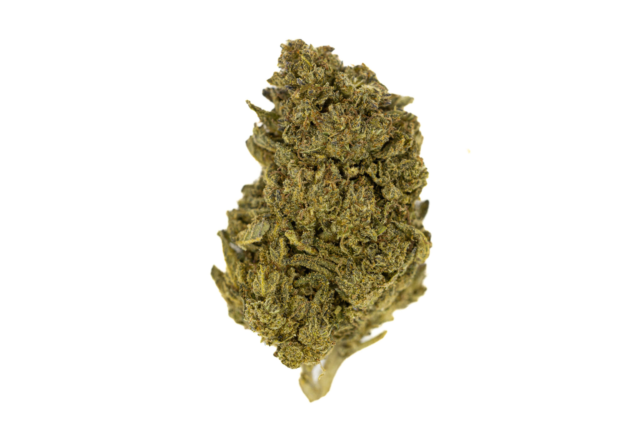 JACK-FLASH-IN-HOUSE-FLOWER-28G-JEALOUSY-X-KUSH-MINTZJACK-FLASH-IN-HOUSE-FLOWER-28G-JEALOUSY-X-X-3