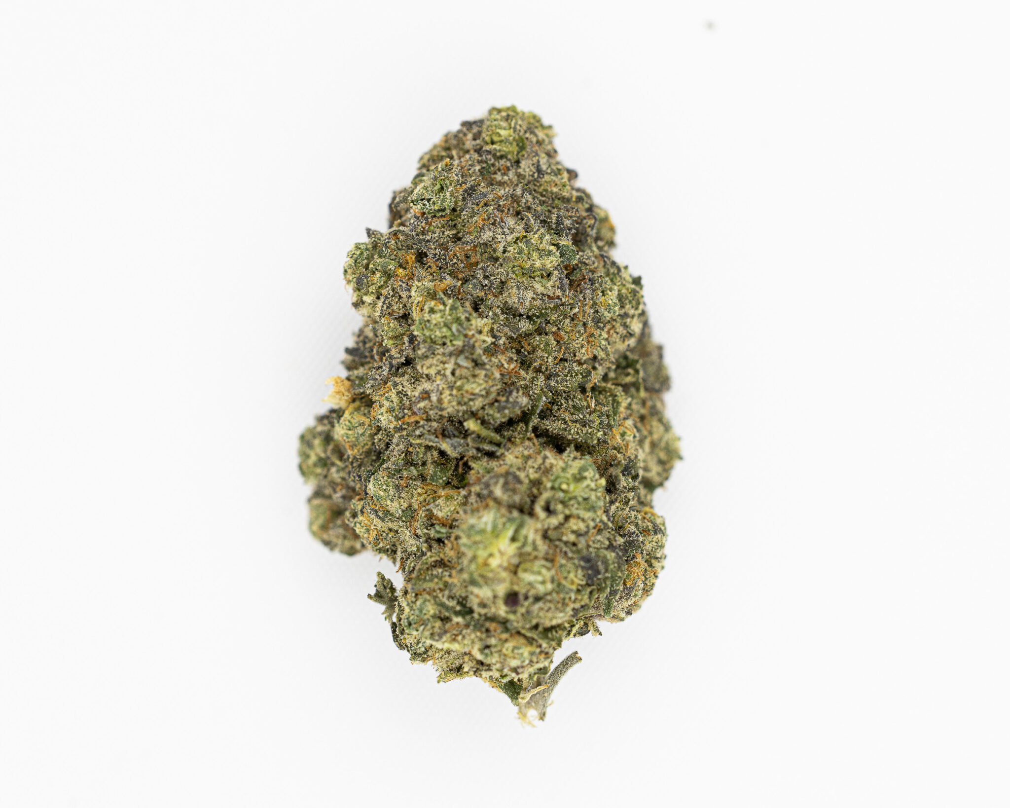 JACK-FLASH-IN-HOUSE-FLOWER-3.5-APPLE-FRITTERX-15