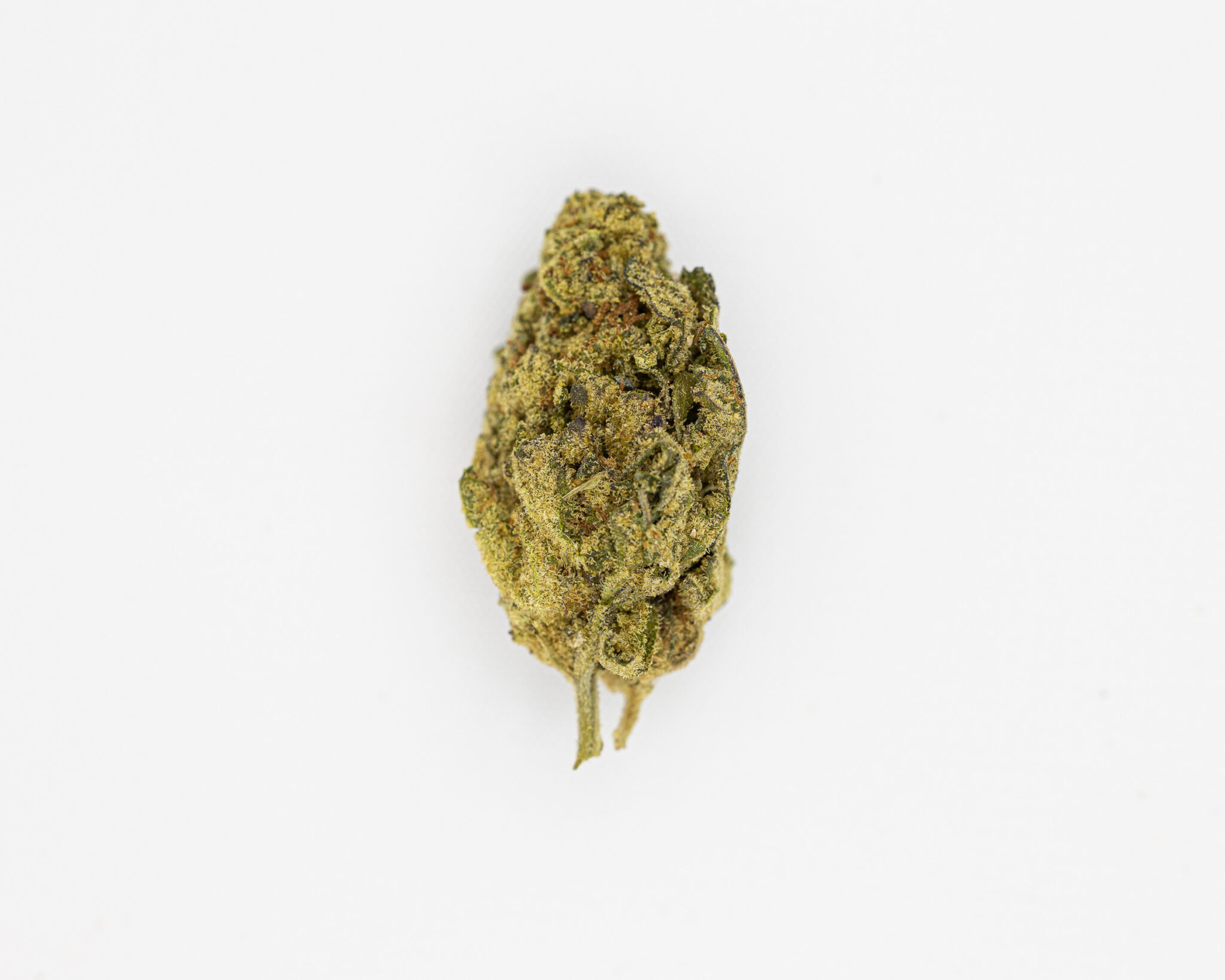 JACK-FLASH-IN-HOUSE-FLOWER-3.5-XJ-13X-21