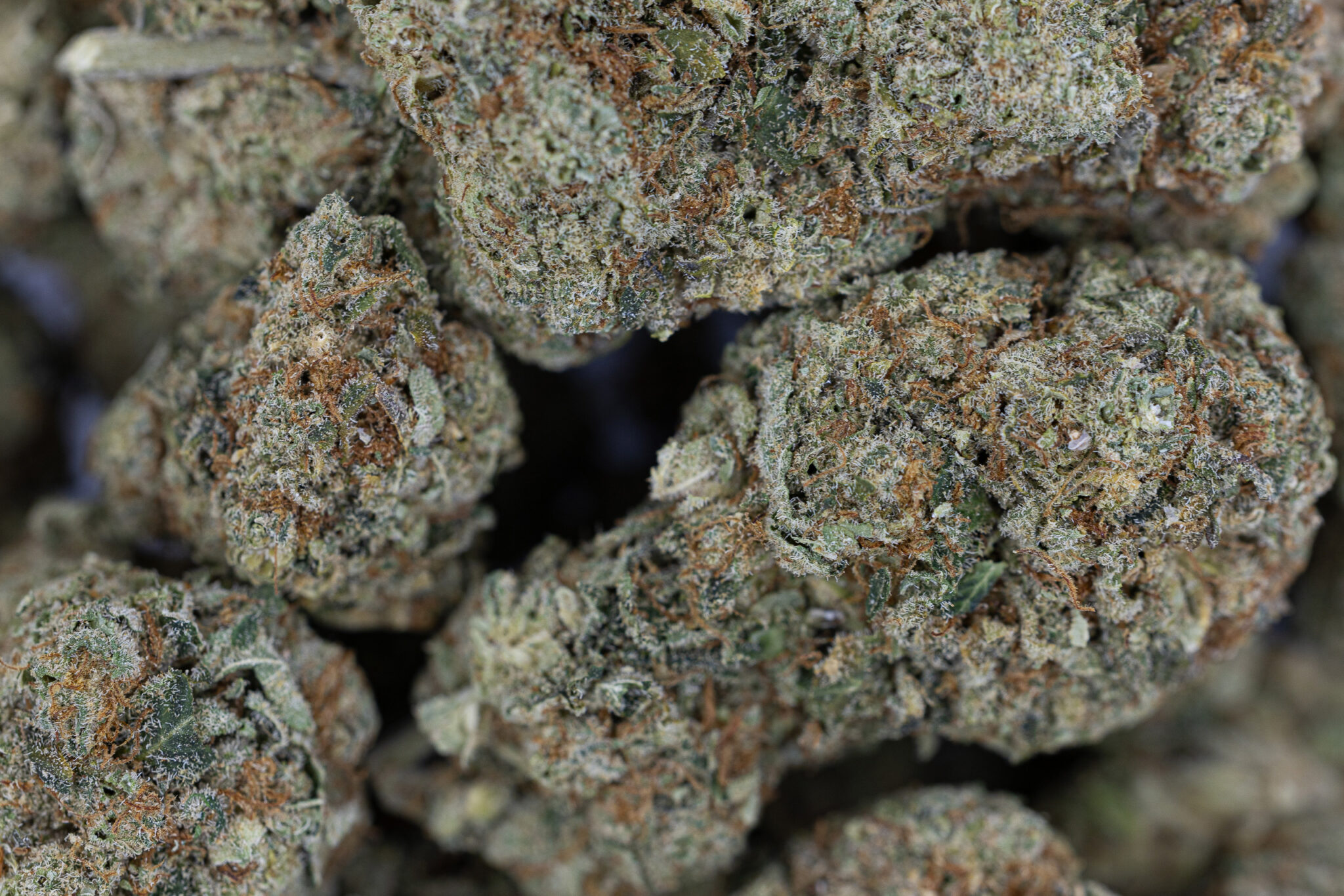 ACK-FLASH-IN-HOUSE-FLOWER-28G-PENUT-BUTTER-RUNTZX-8