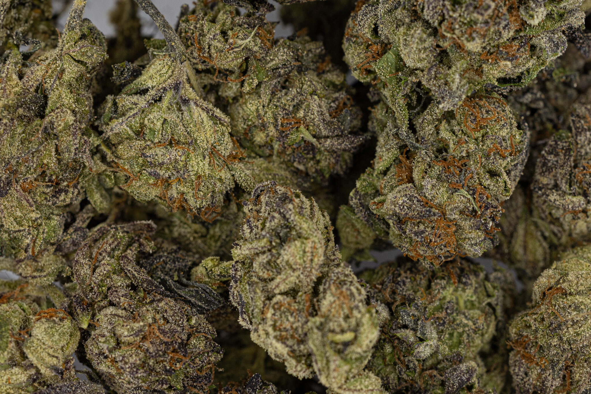 JACK-FLASH-IN-HOUSE-FLOWER-14G-RAINBOW-KUSHX-7