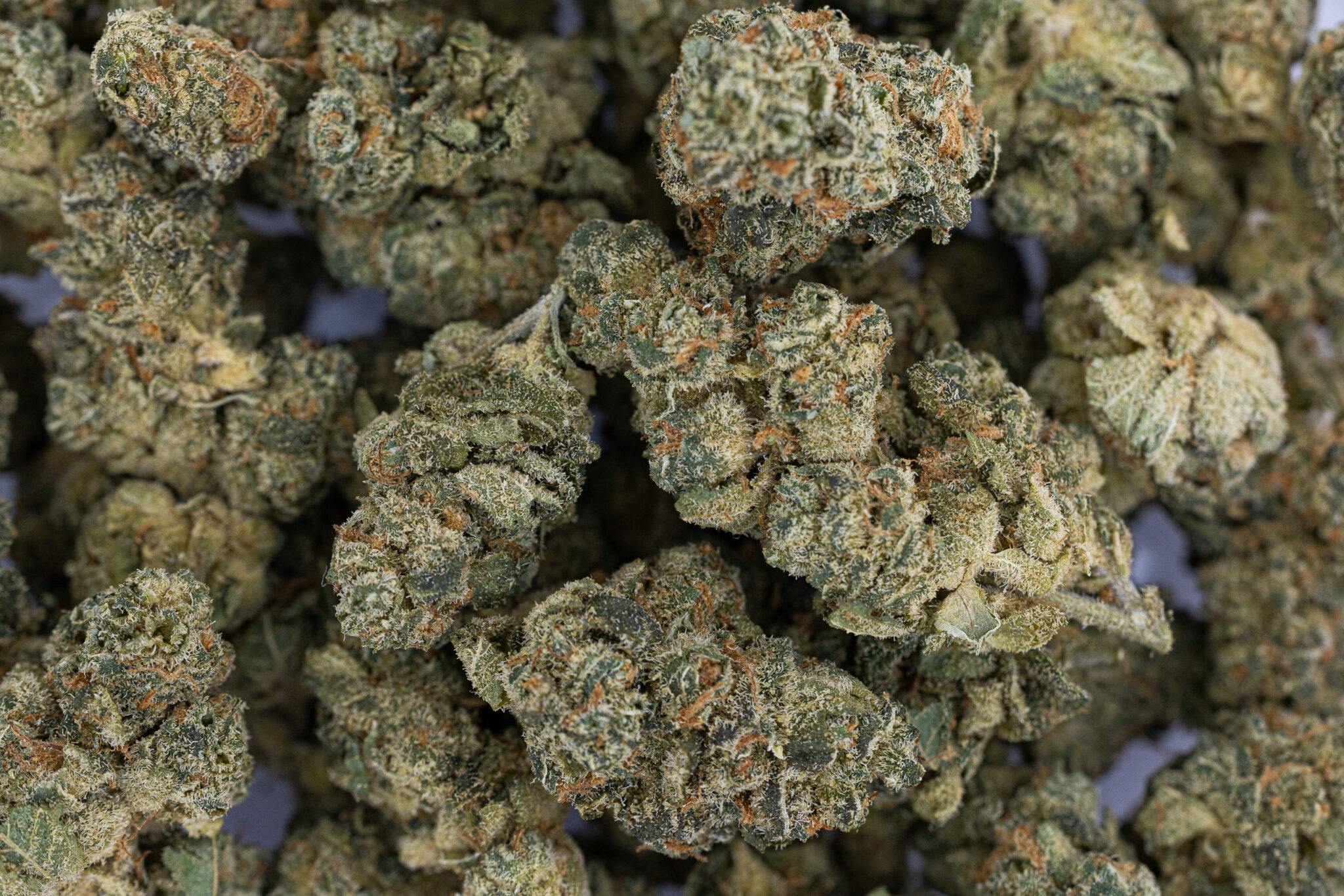 JACK-FLASH-IN-HOUSE-FLOWER-14G-SUNSET-OCTAINE-XX-3