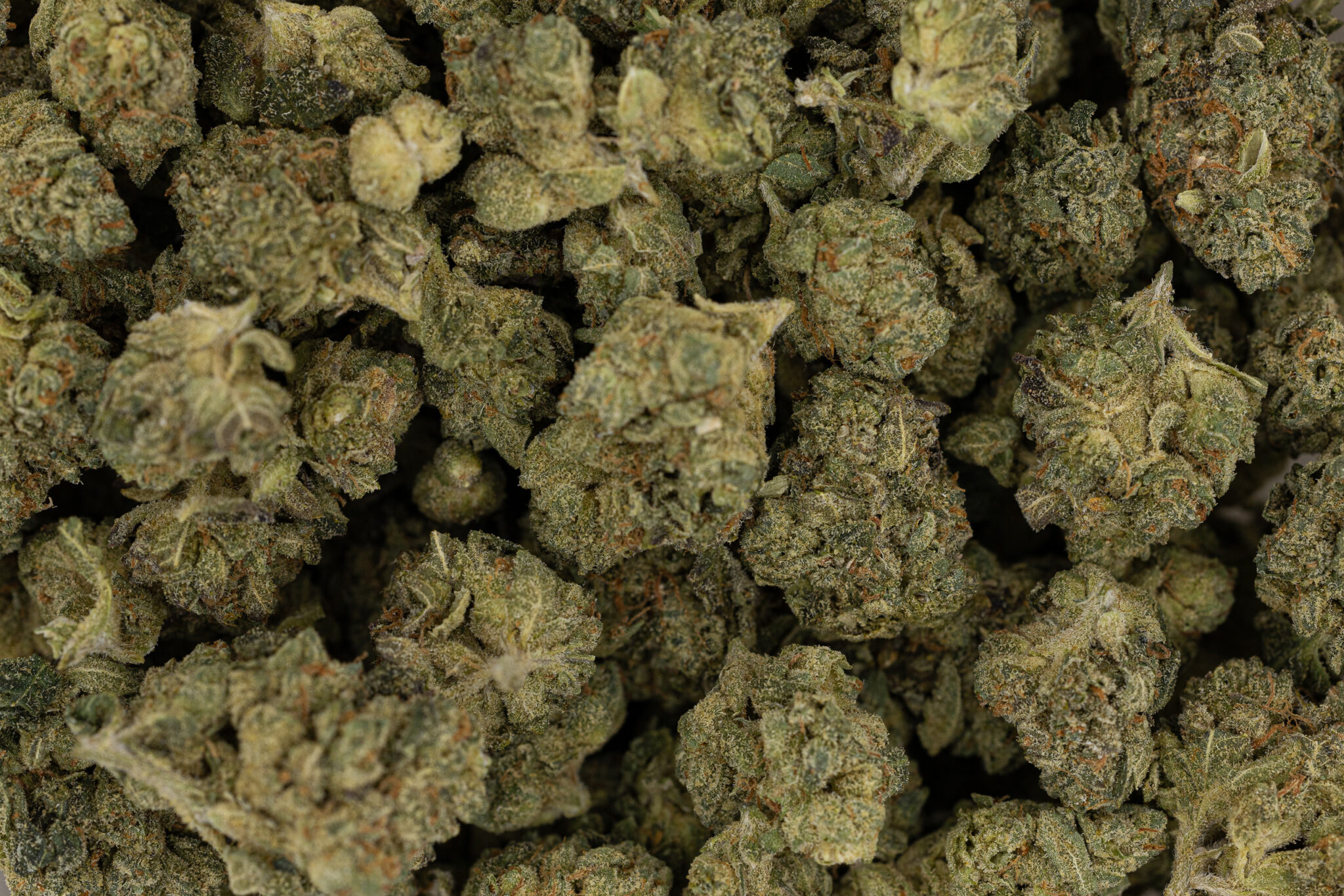 JACK-FLASH-IN-HOUSE-FLOWER-14G-PINEAPPLE-PEZX-6