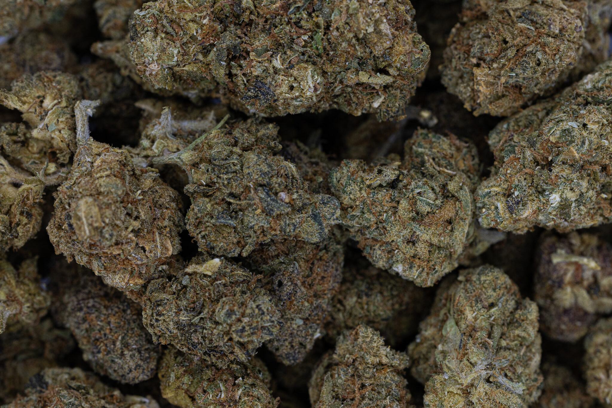 JACK-FLASH-IN-HOUSE-FLOWER-28G-RODY-RED-SATIVA-HYBRIDX-20