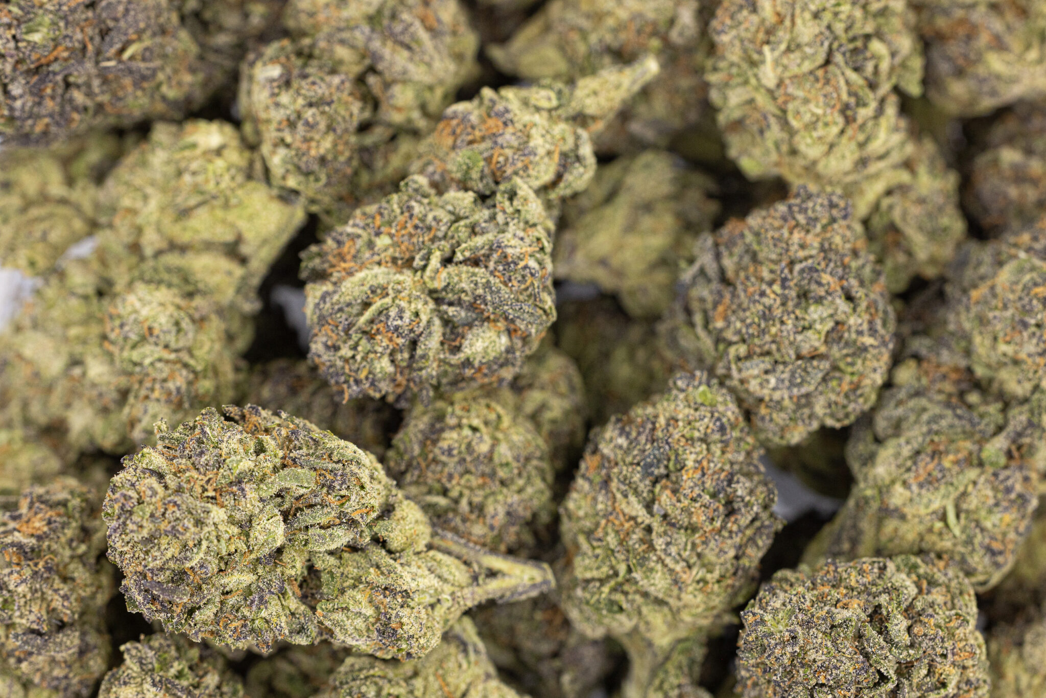 JACK-FLASH-IN-HOUSE-FLOWER-28G-PURPLE-ICE-INDICAX-5