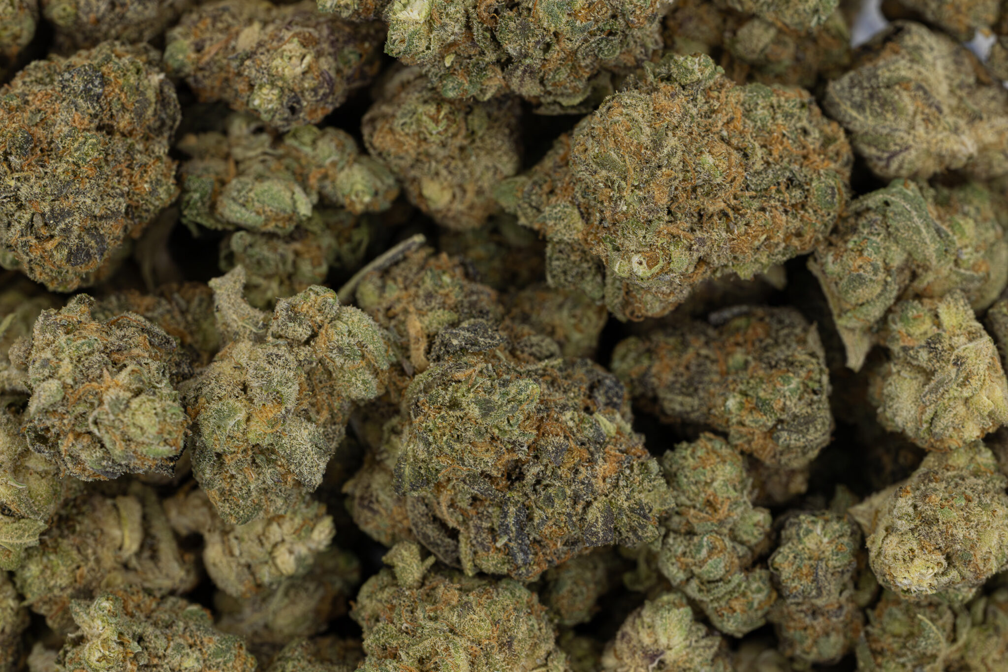 JACK-FLASH-IN-HOUSE-FLOWER-28G-WIFIX-KUSH-MINTZX-2