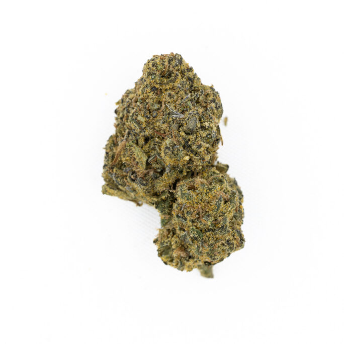 JACK-FLASH-IN-HOUSE-FLOWER-3.5-THIN-MINTZ-IX-14