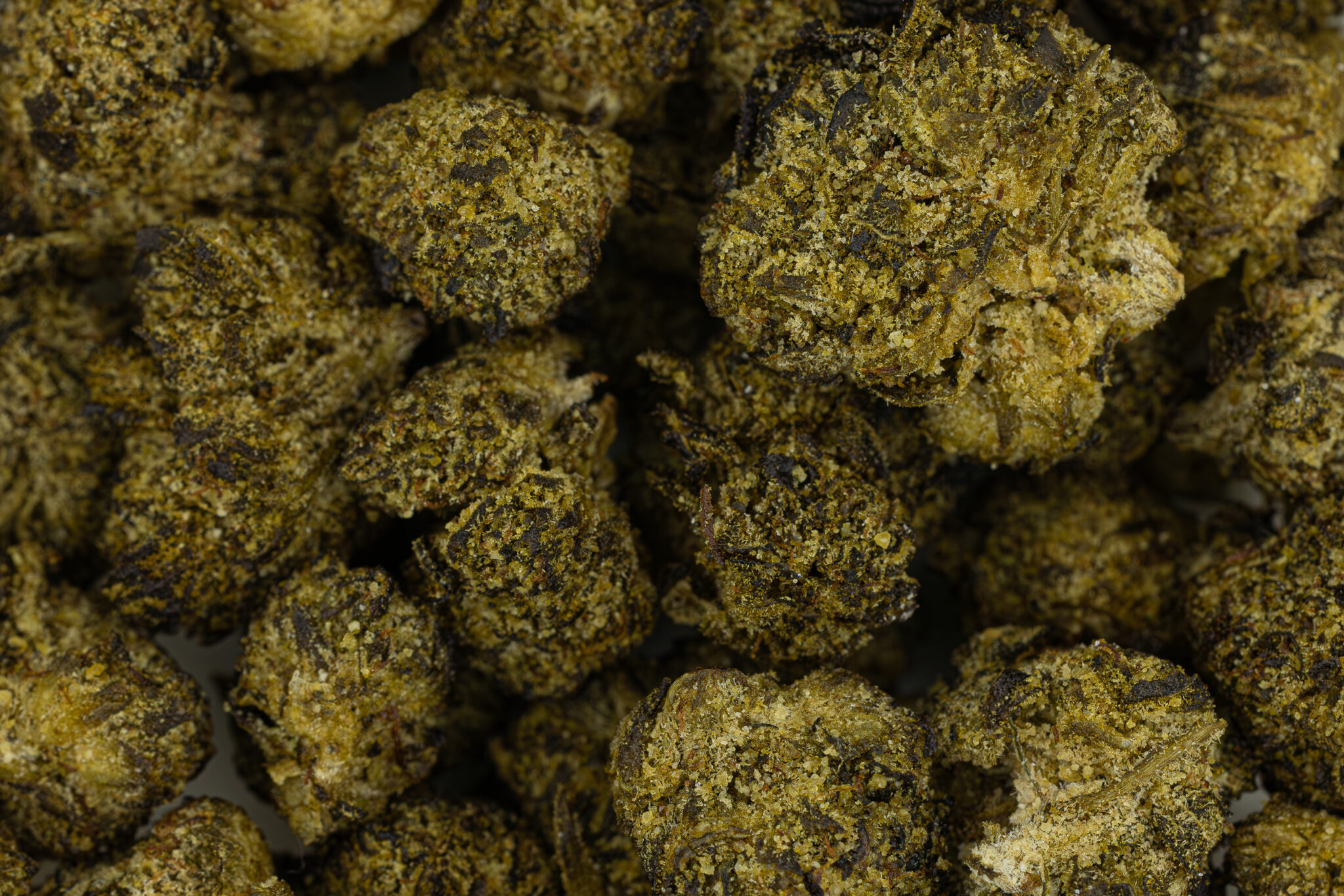 JACK-FLASH-IN-HOUSE-FLOWER-14G-WATERMELON-ZX-3