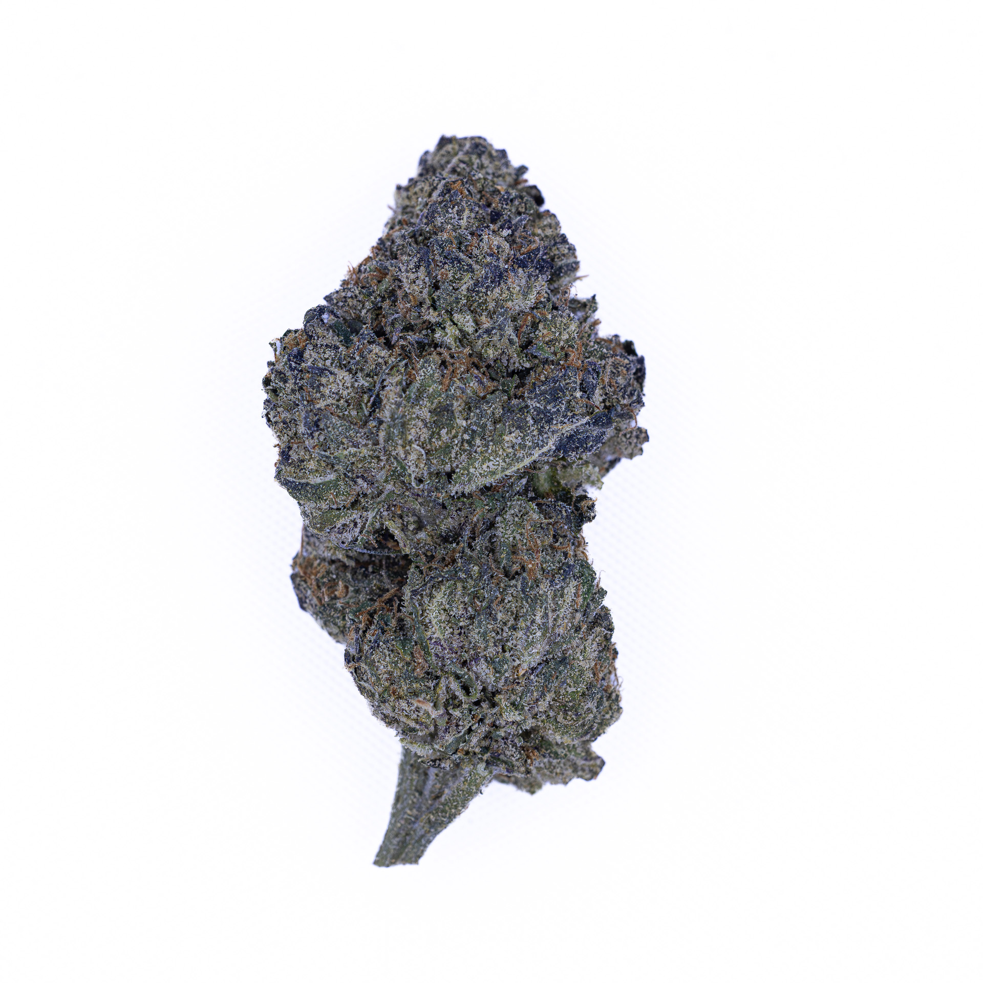 JACK-FLASH-IN-HOUSE-FLOWER-28G-LEMON-CHERRY-GELATOX-6